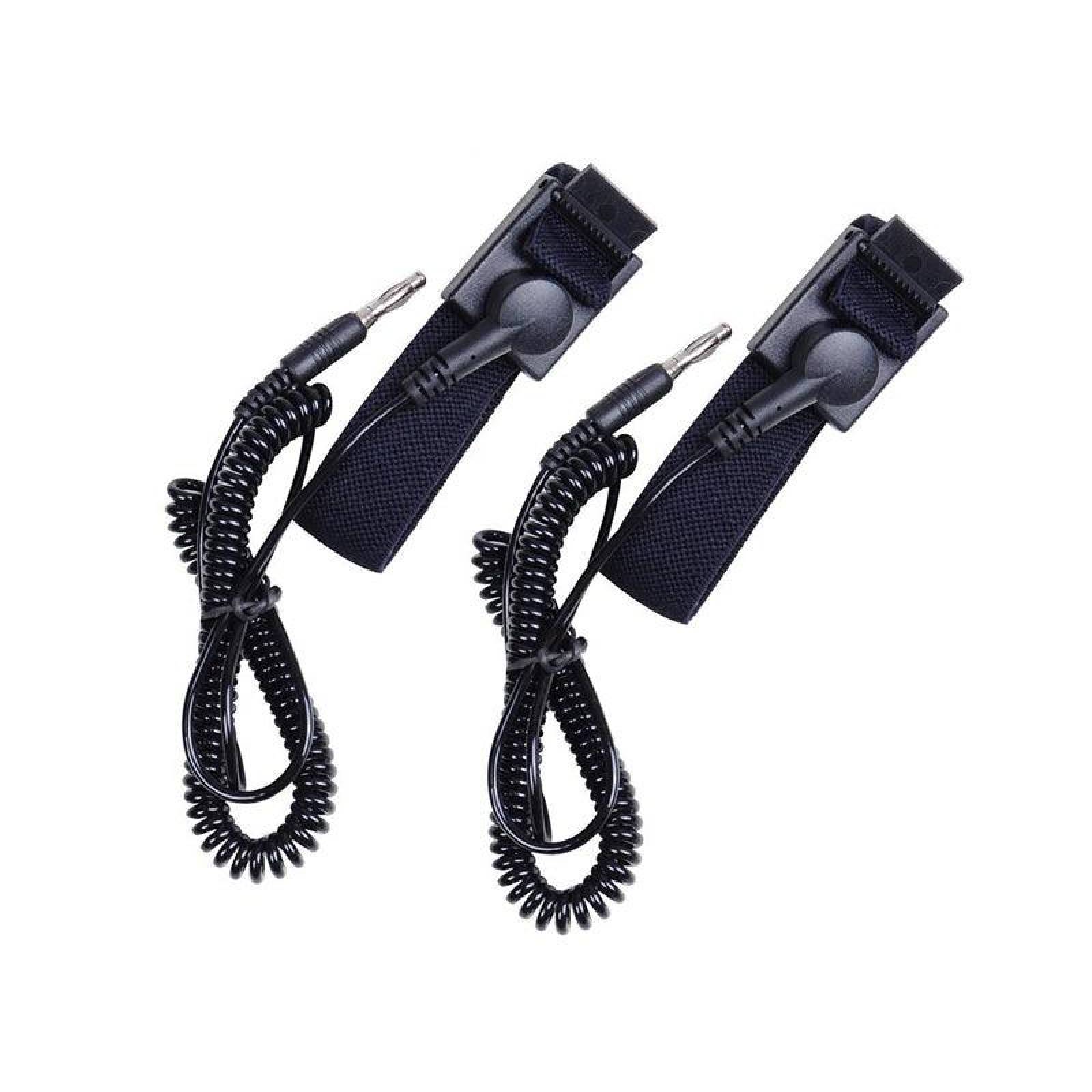 Desintoxicador Iónico Profesional Dual (Detox)