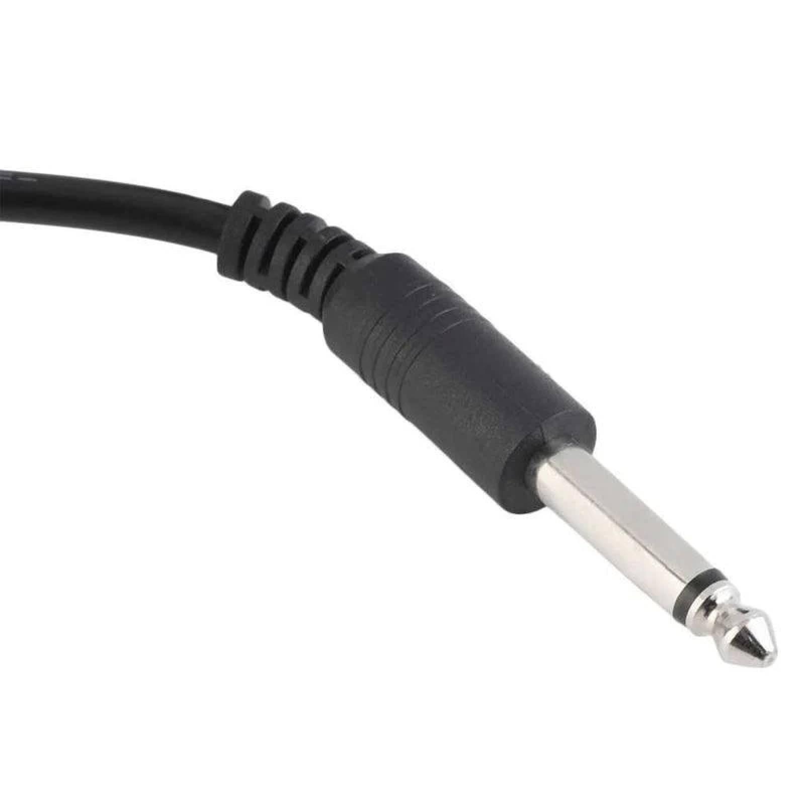 Desintoxicador Iónico Profesional Dual (Detox)