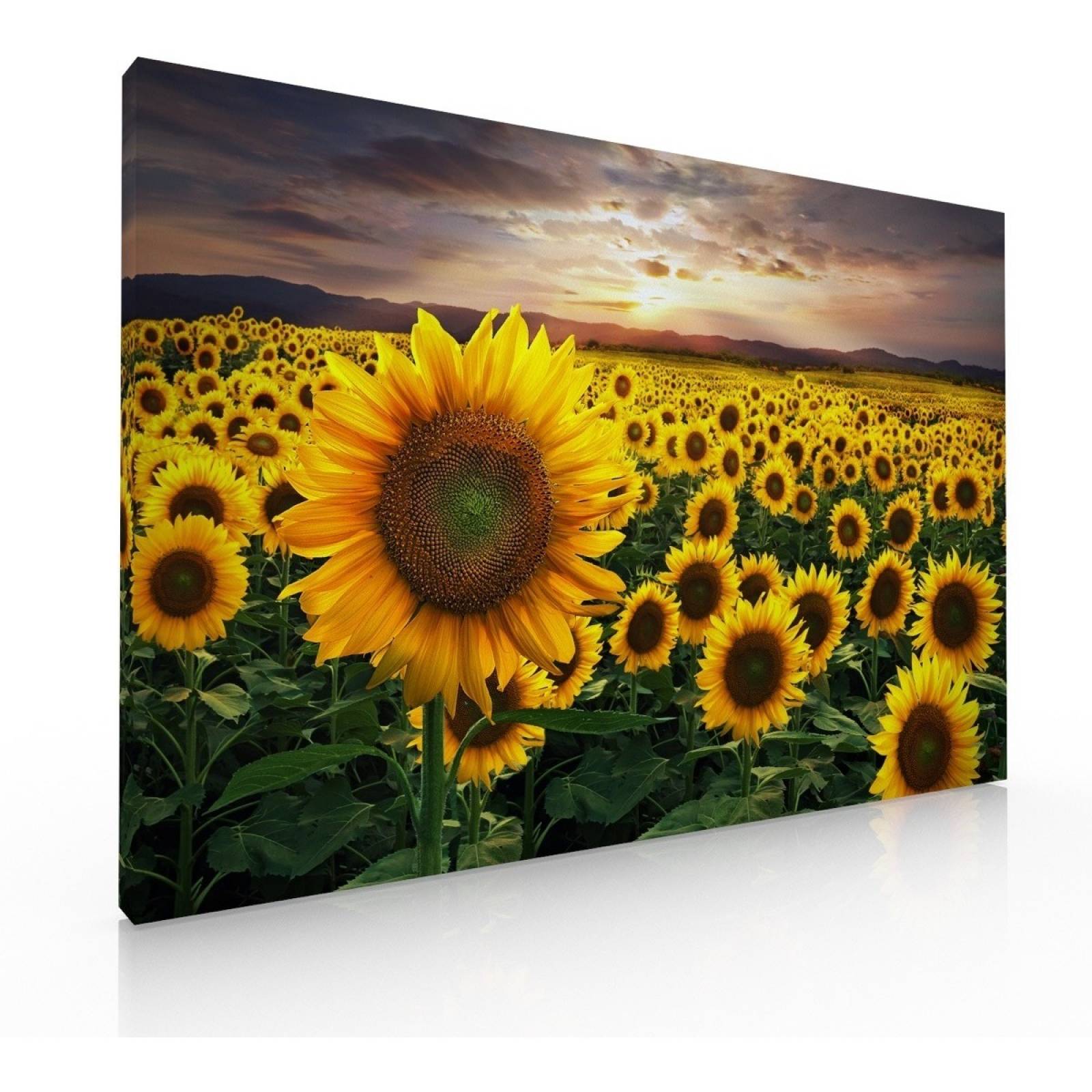 Cuadro Decorativo Para Recamara Sala O Comedor Los Girasoles