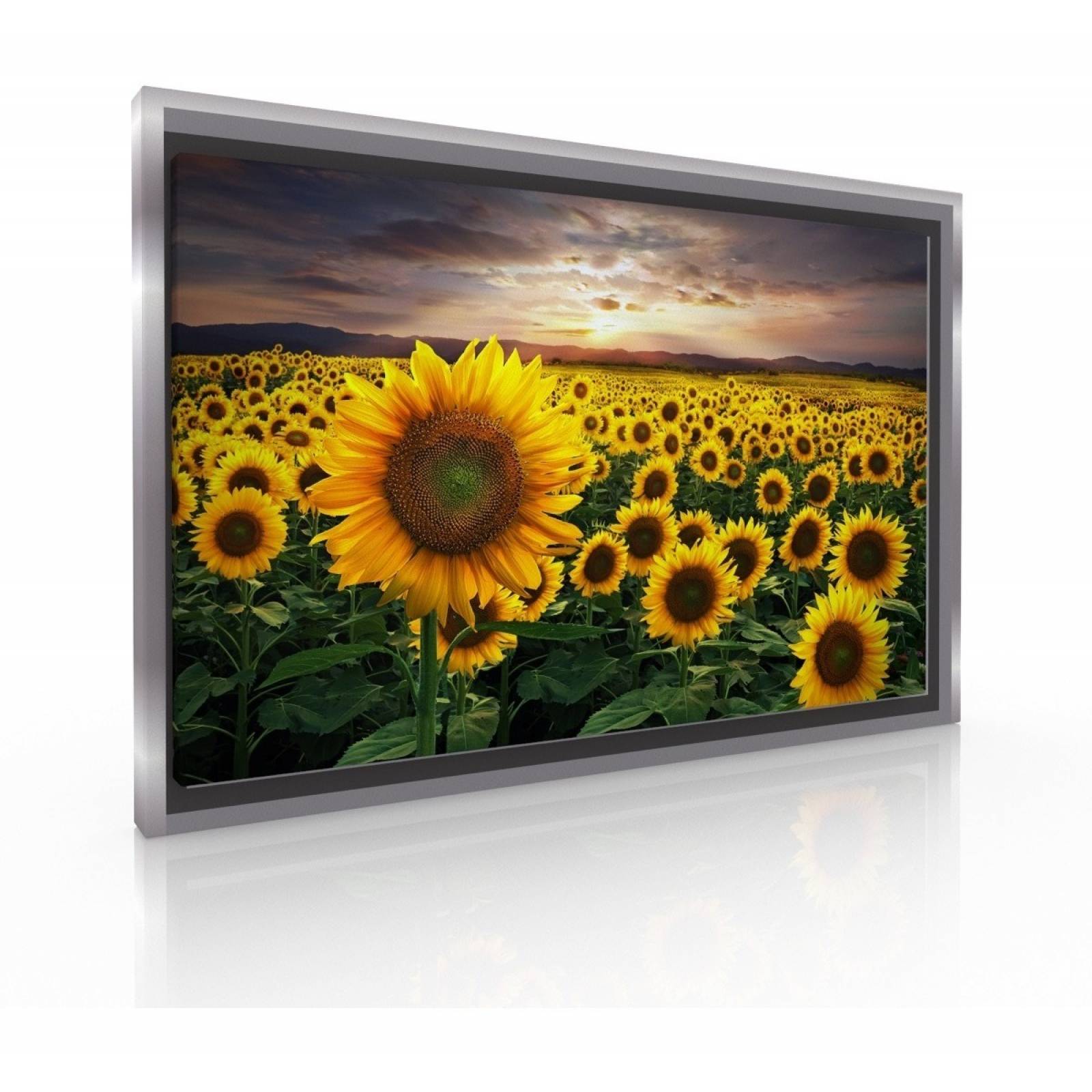 Cuadro Decorativo Para Recamara Sala O Comedor Los Girasoles