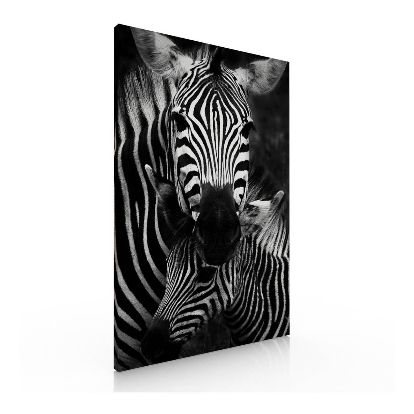 Cuadro Decorativo Moderno Para Recamara Cebras