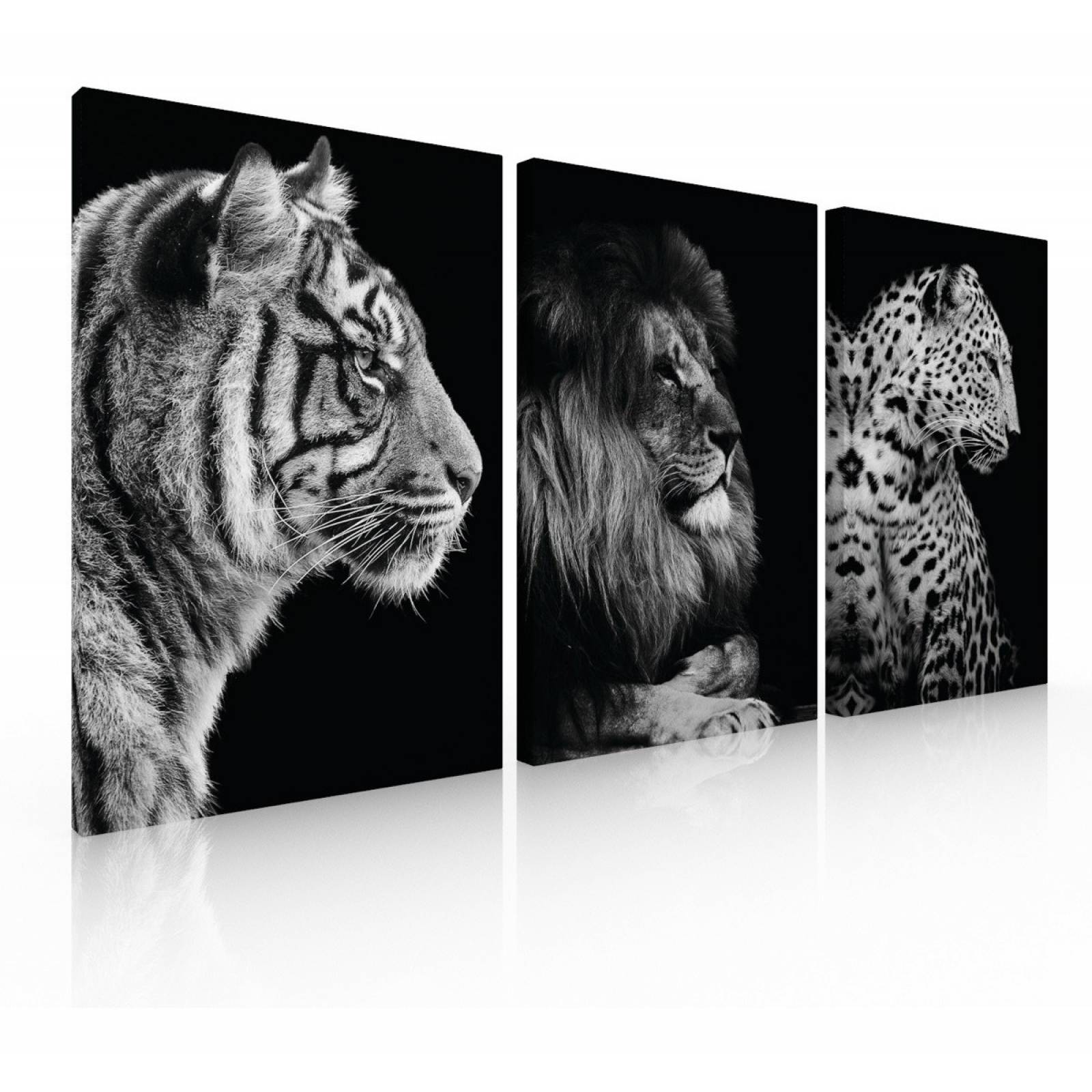 Set De 3 Cuadros Decorativos Modernos Felinos