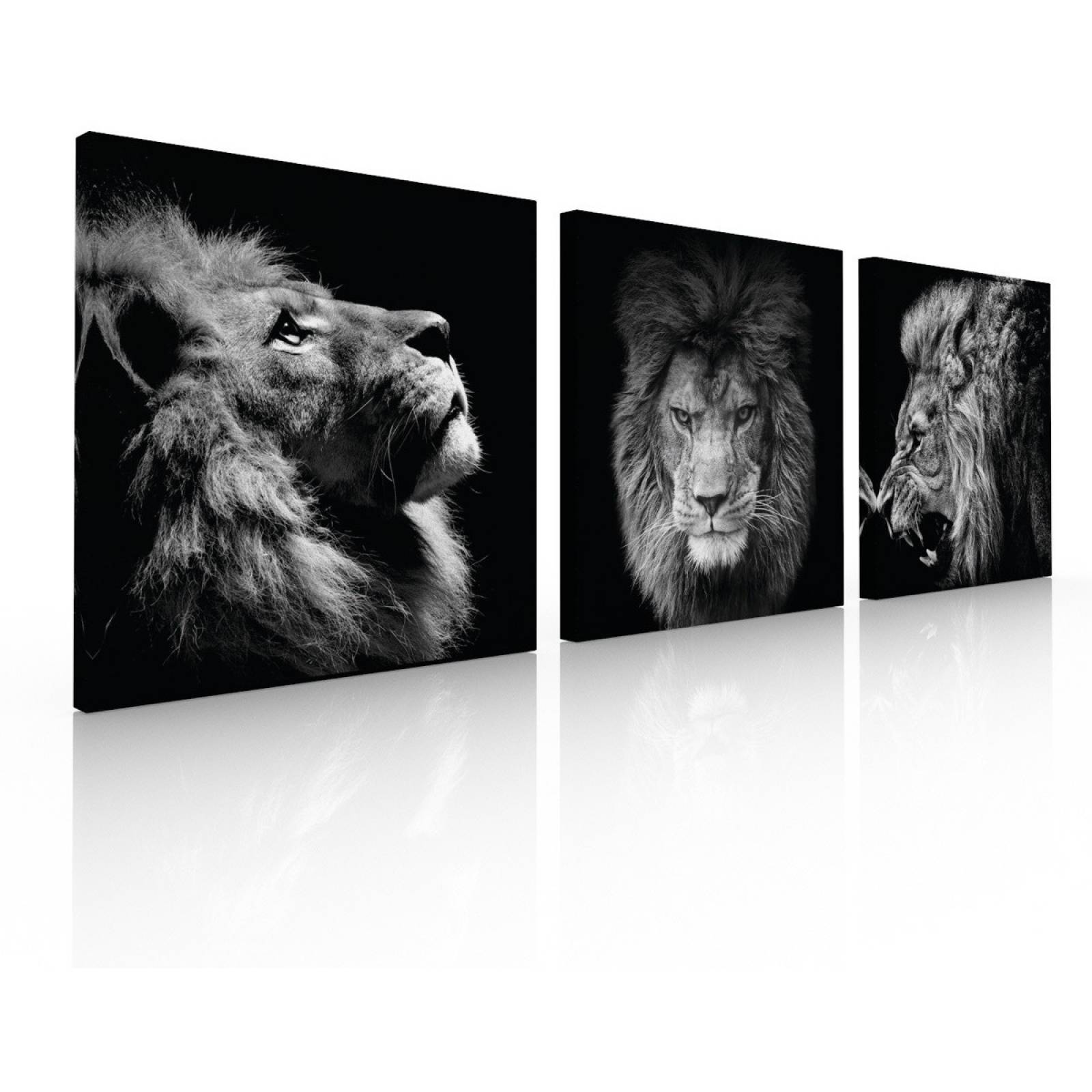 Set De 3 Cuadros Decorativos Modernos, Leones