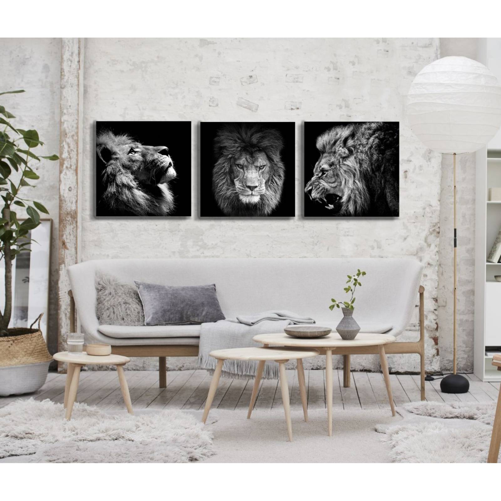 Set De 3 Cuadros Decorativos Modernos, Leones