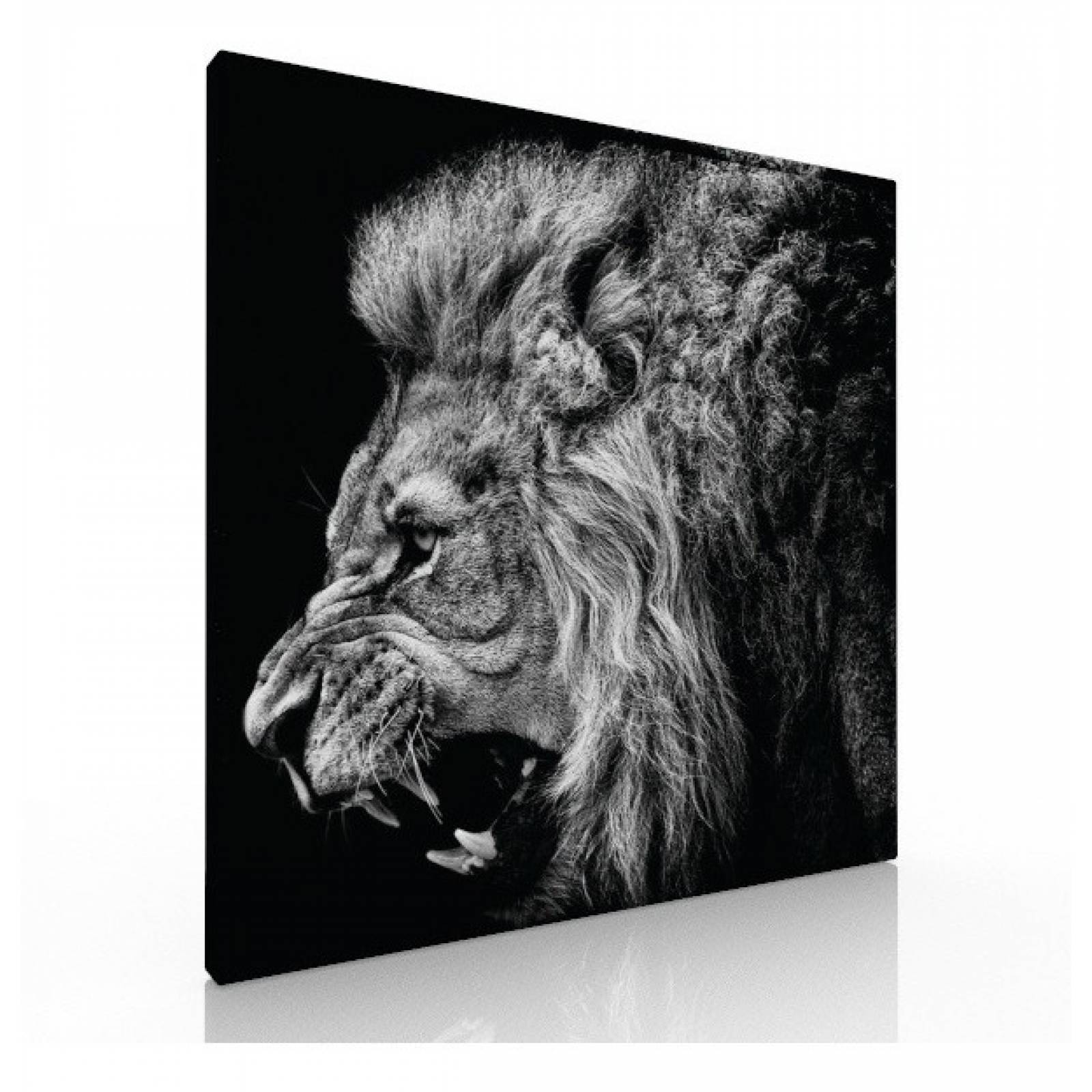 Set De 3 Cuadros Decorativos Modernos, Leones