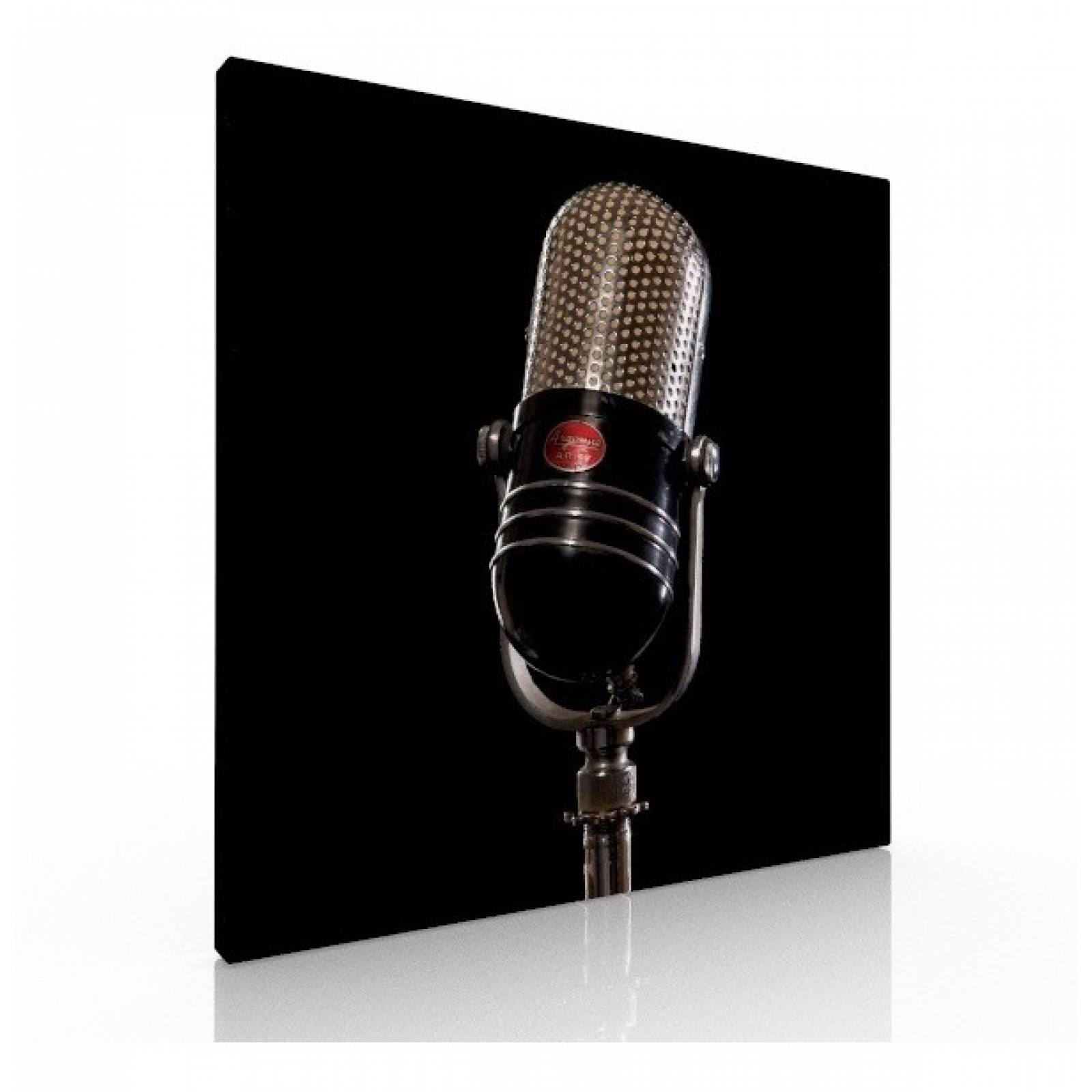 Set De 3 Cuadros Decorativos Para Sala O Recamara, Microfono