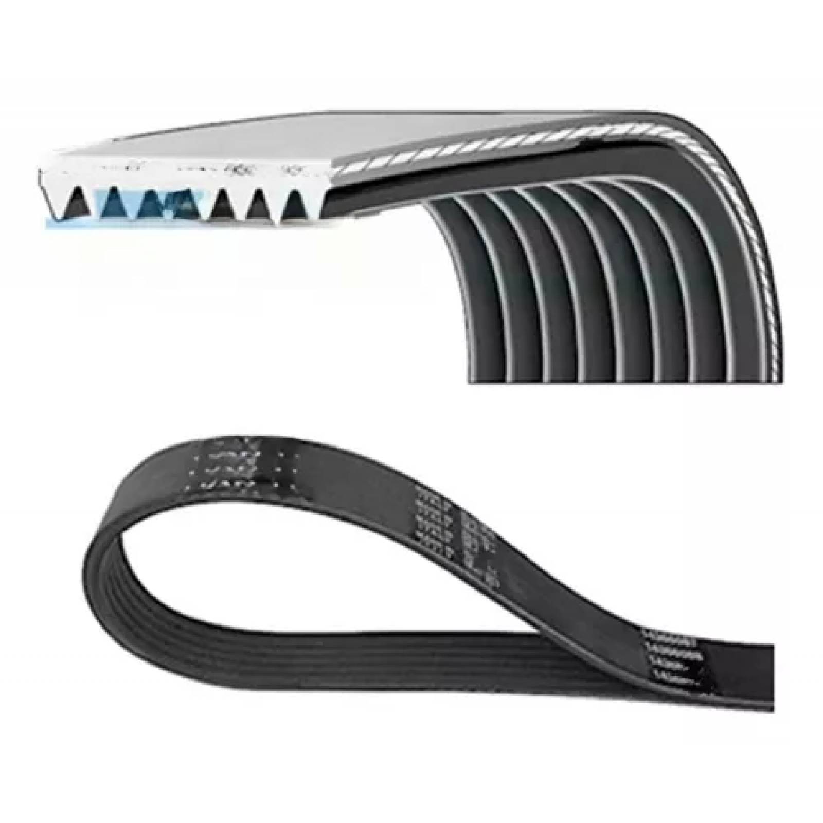 BANDA 6PK1815 POLY V GMC Sierra 6.2L 2014-16 DAYCO