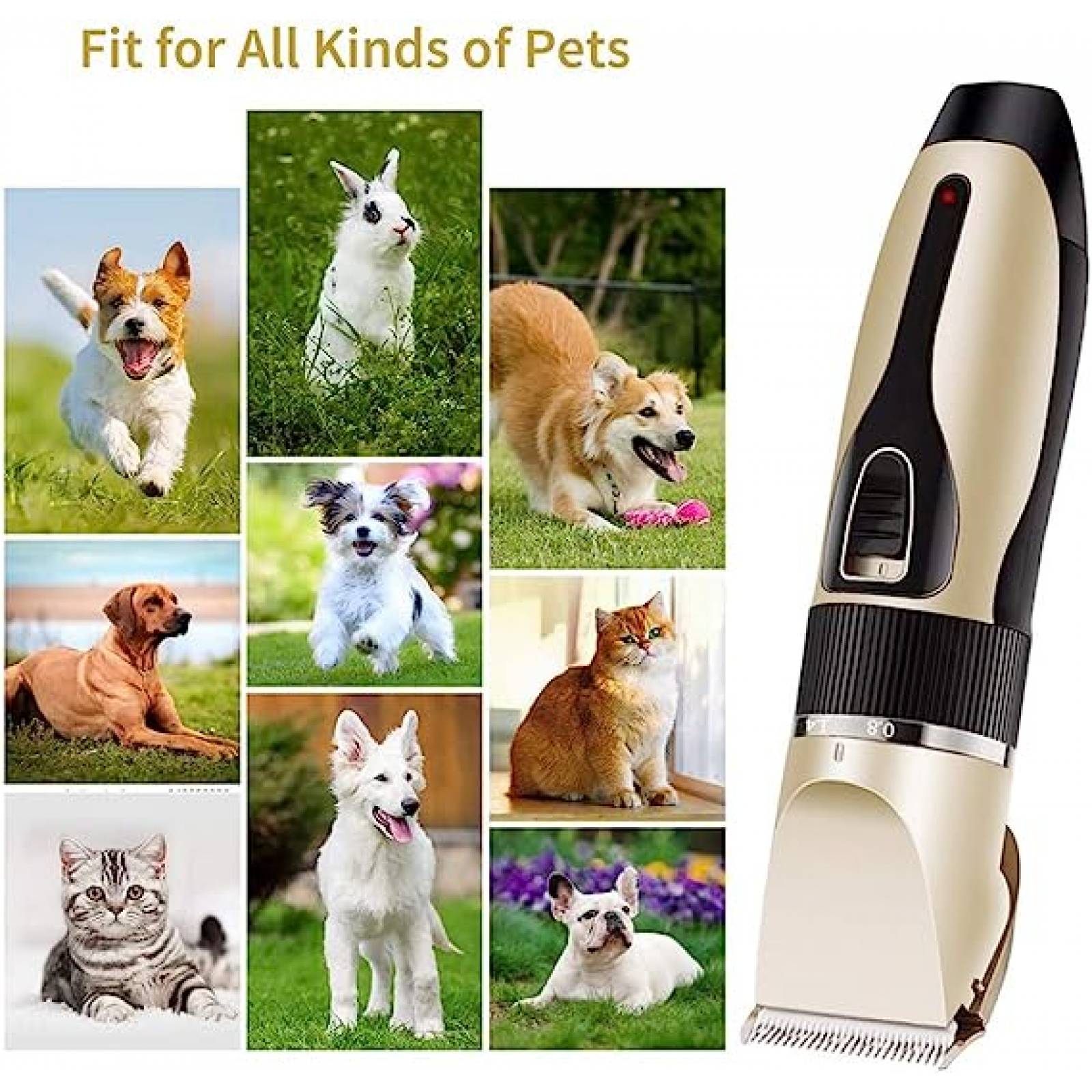 Afeitadora Cortadora De Pelo Para Mascota 4 Peines Recargable Mr-07