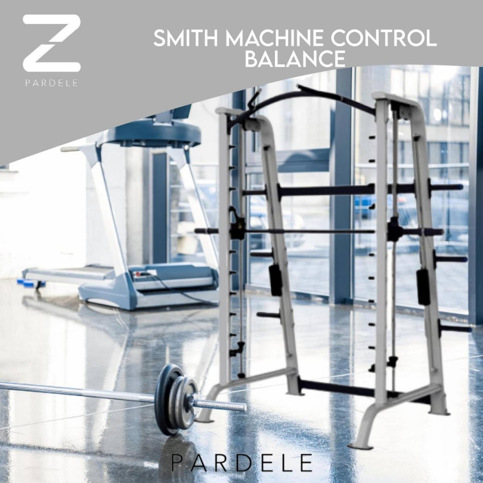 Jaula Rack Smith Machine Gym Multifuncional Equipo Gimnasio 