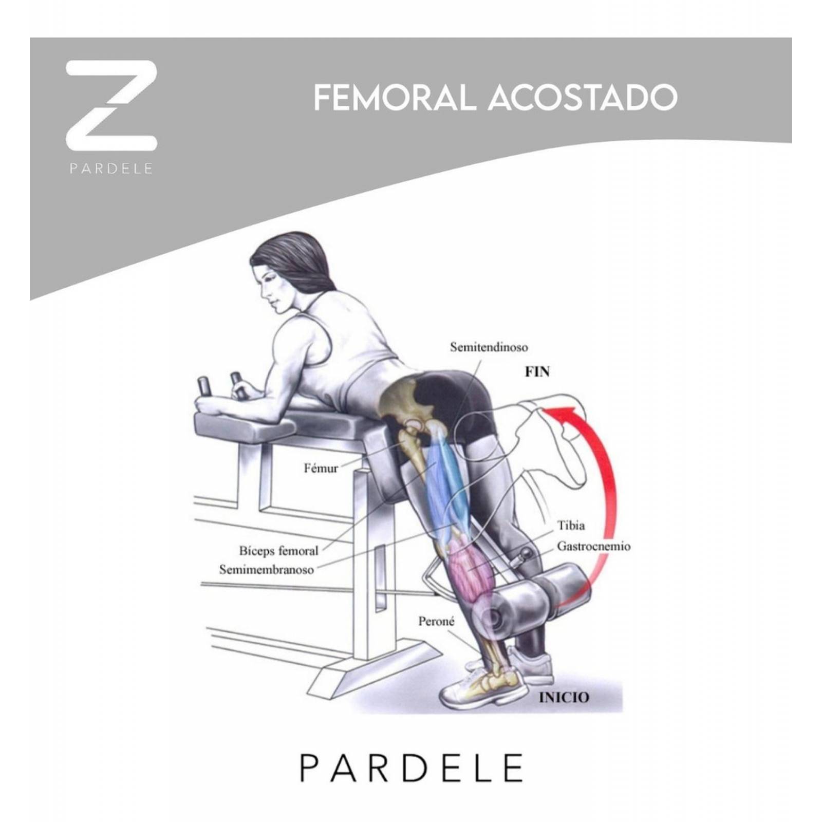 Aparato Gym Pierna Femoral Acostado Ejercicio Multifuncional