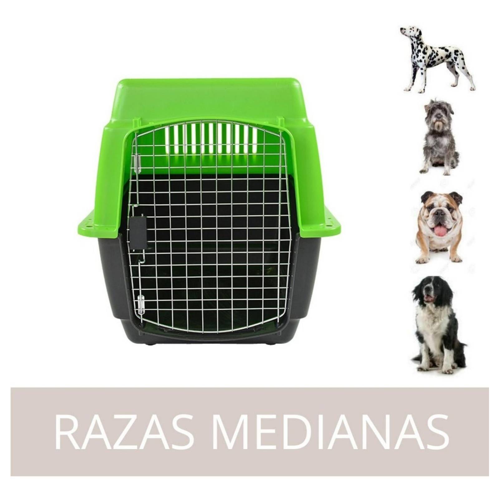 Transportadora Para Viajes Perros Medianos Gatos Jaula Metal Verde 0004-M