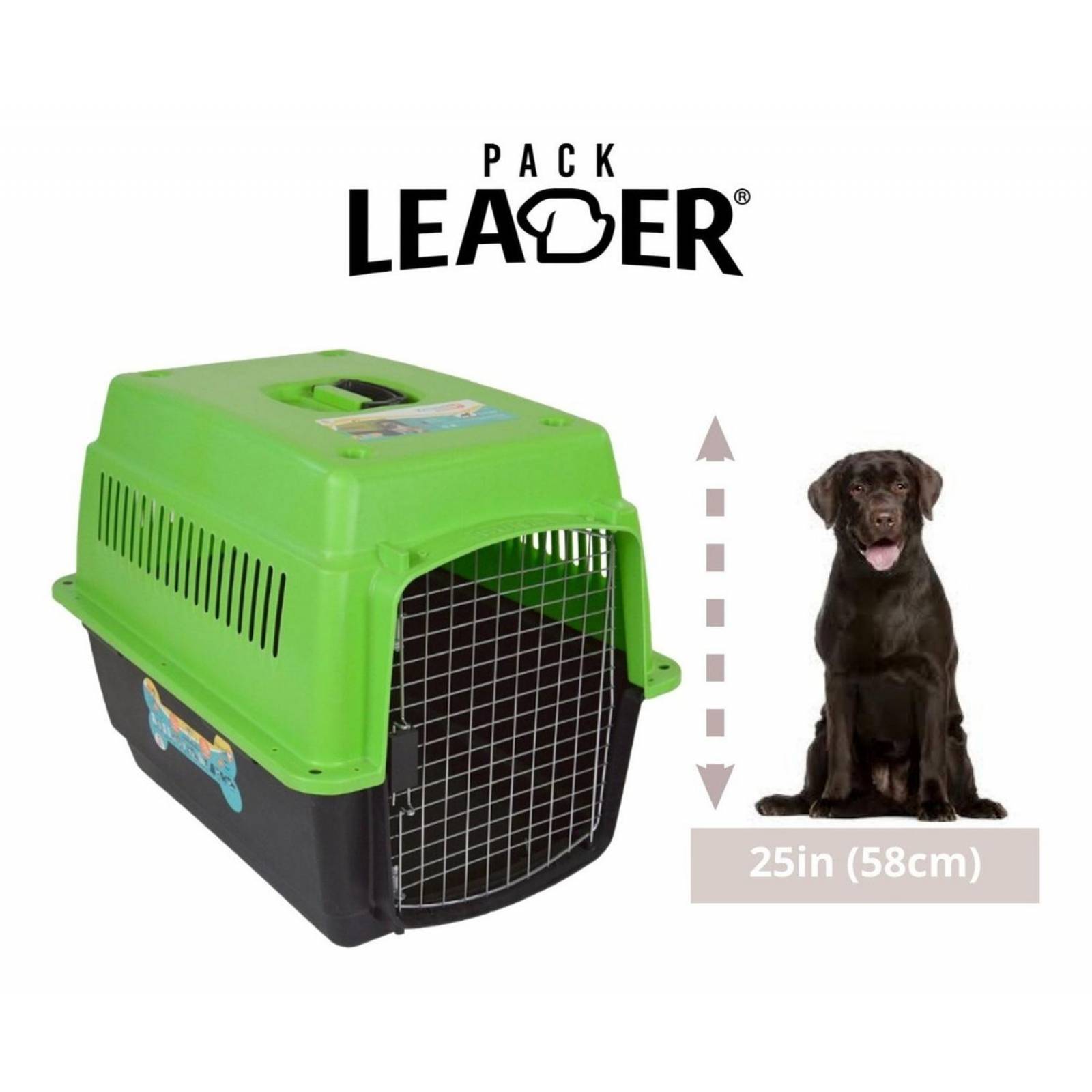 Transportadora Para Viajes Perros Medianos Gatos Jaula Metal Verde 0004-M