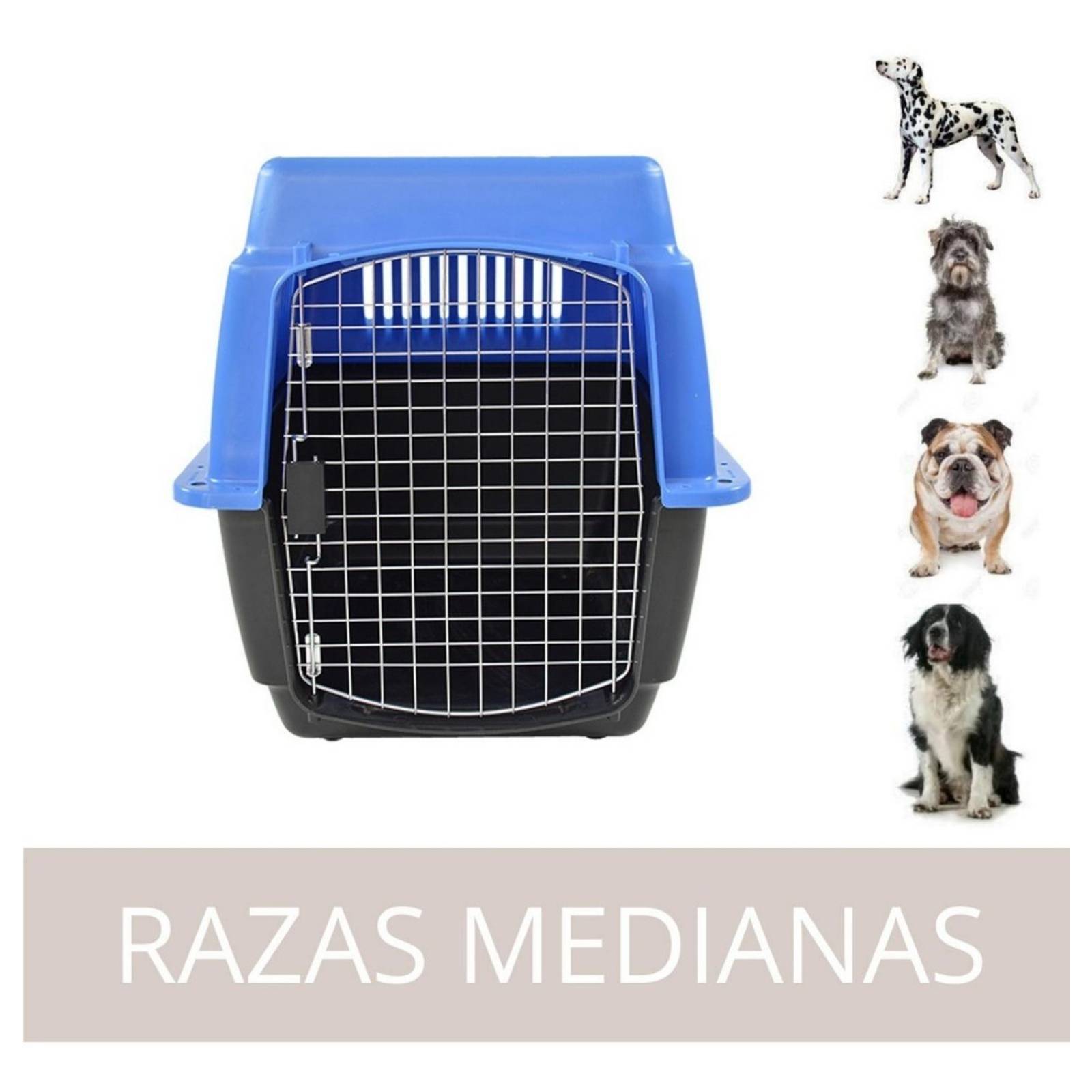Transportadora Para Viajes Perros Medianos Gatos Jaula Metal Azul 0004-M