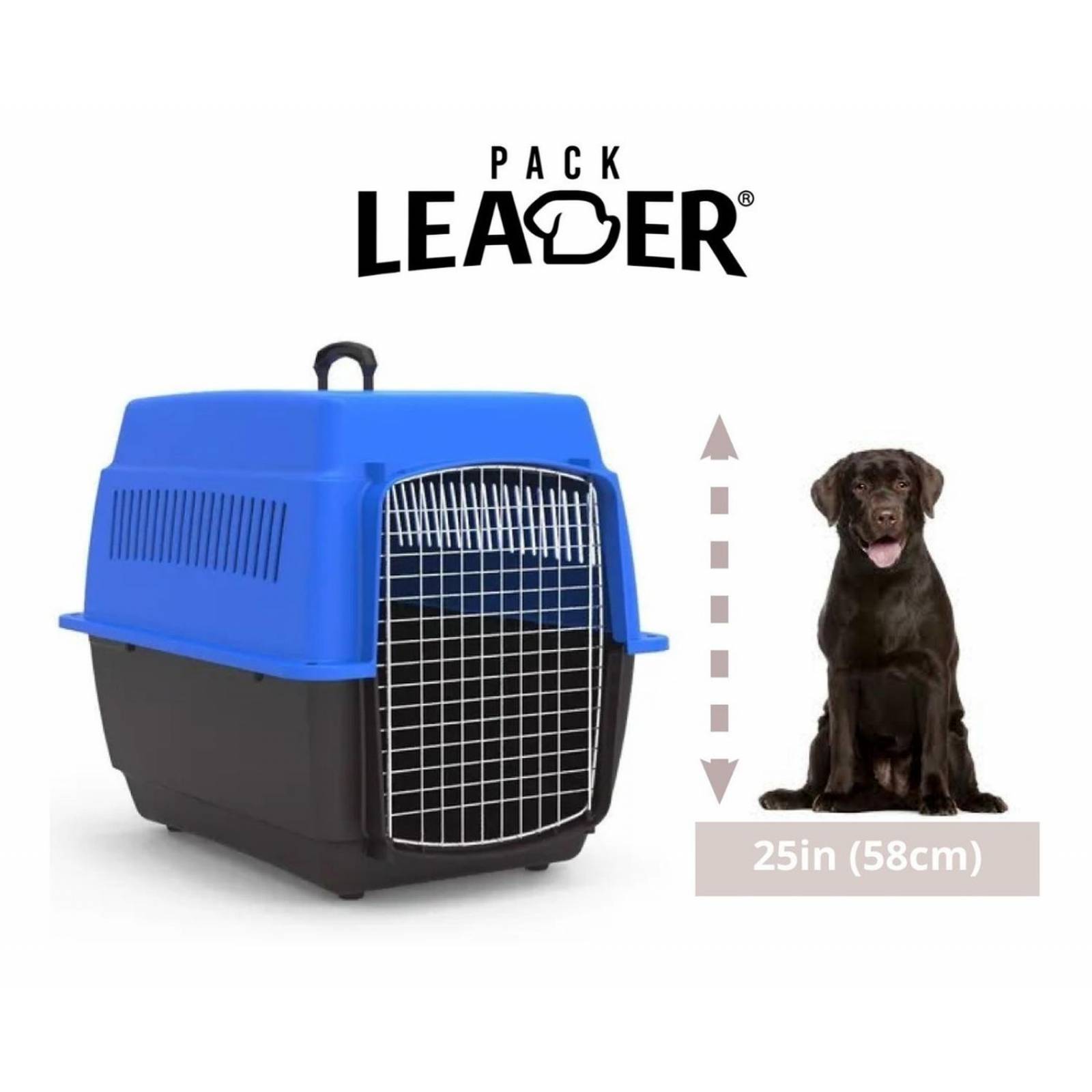 Transportadora Para Viajes Perros Medianos Gatos Jaula Metal Azul 0004-M