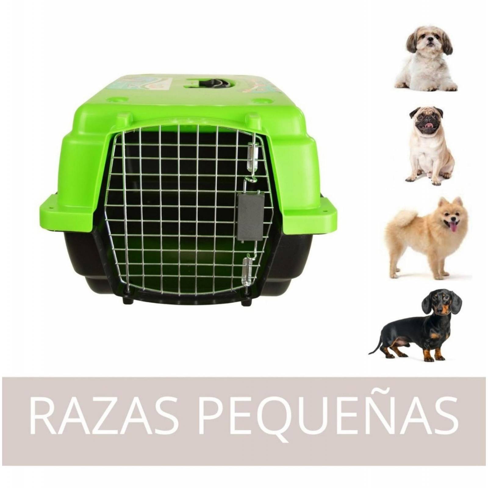Transportadora Jaula Perros Chicos Gato Rigida Reja Metalica 0003-CH Verde