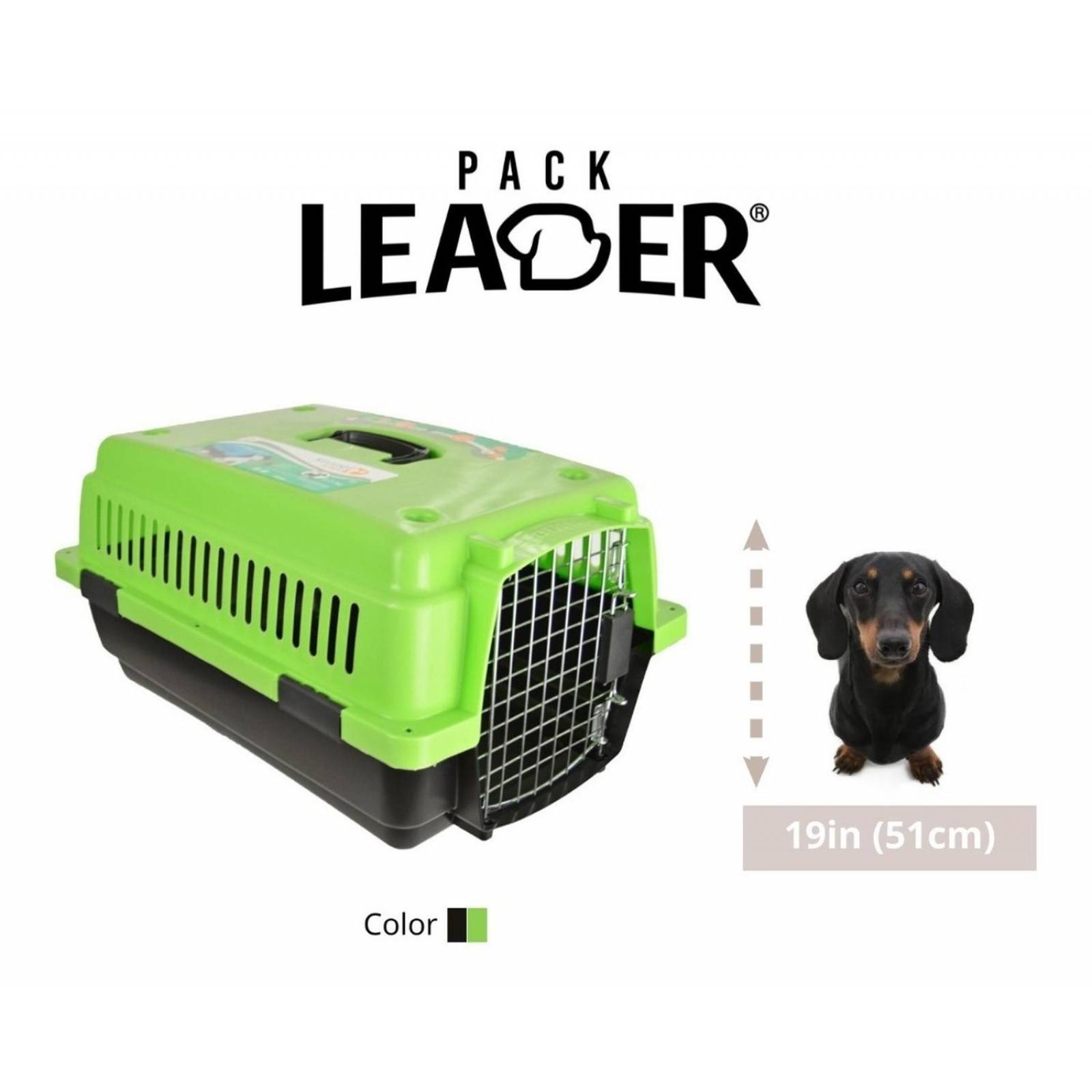 Transportadora Jaula Perros Chicos Gato Rigida Reja Metalica 0003-CH Verde