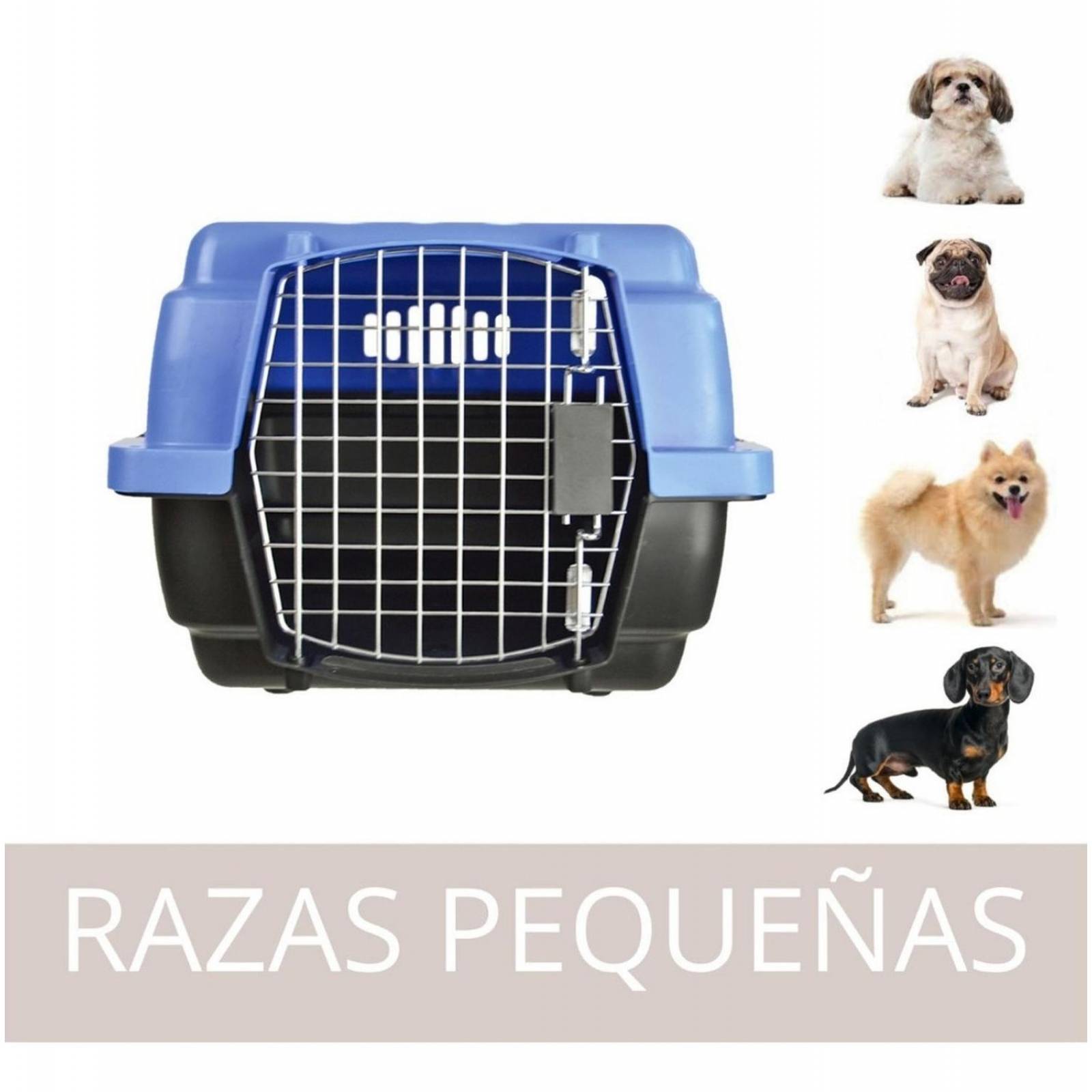 Transportadora Jaula Perros Chicos Gato Rigida Reja Metalica 0003-CH Azul