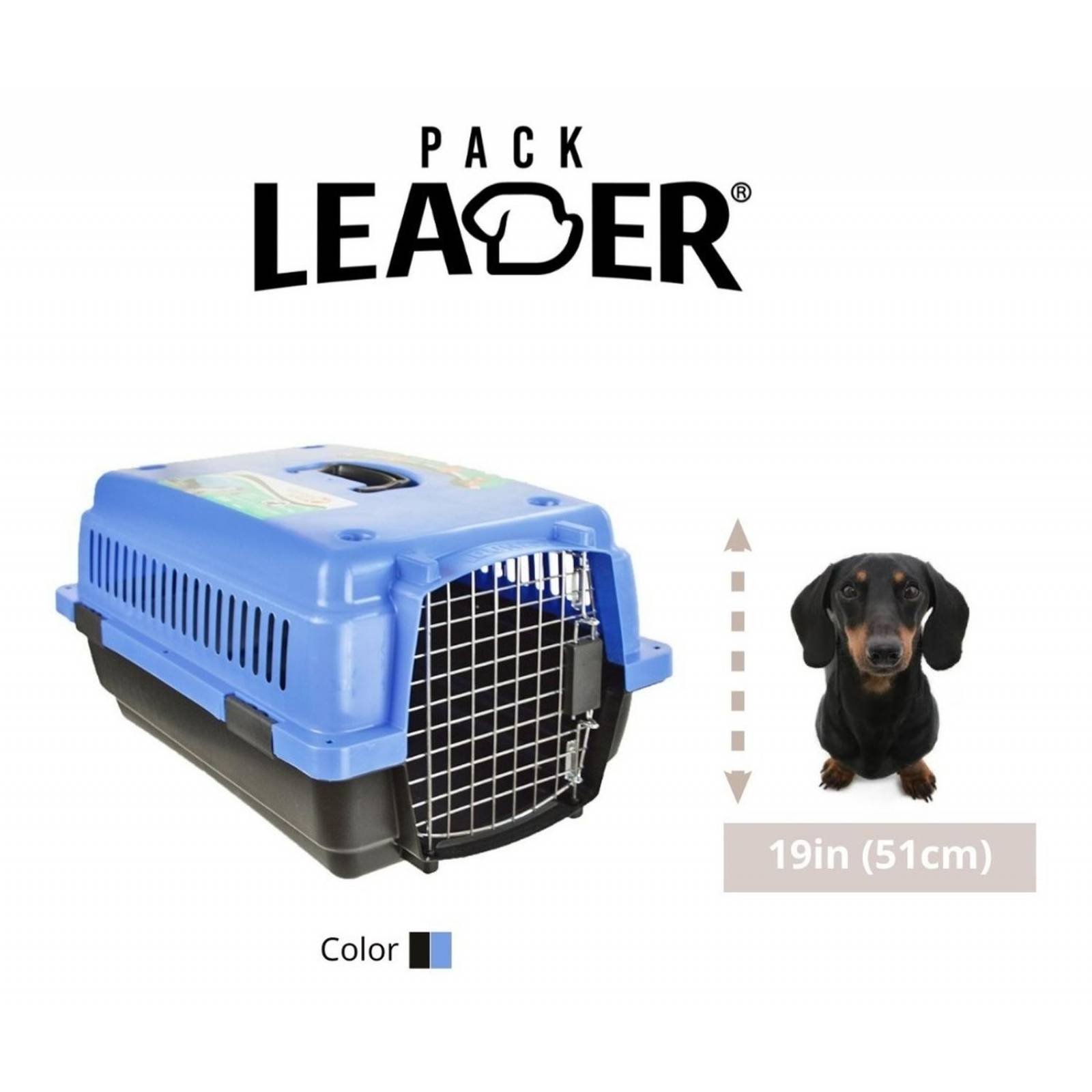 Transportadora Jaula Perros Chicos Gato Rigida Reja Metalica 0003-CH Azul