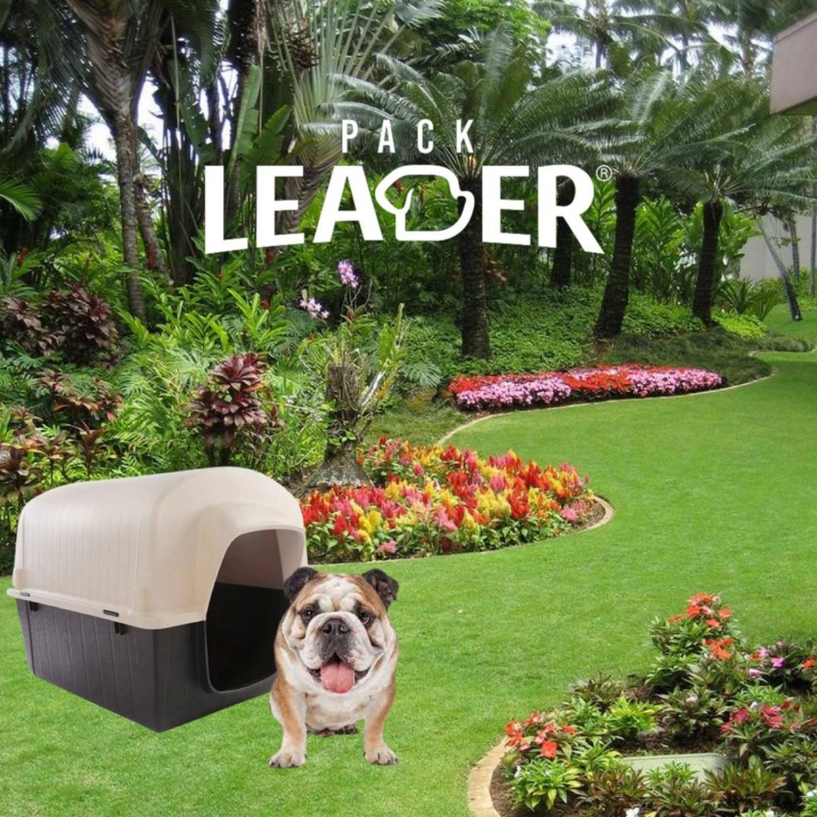 Casa Termica Para Perros Razas Medianas Resistente Exterior 