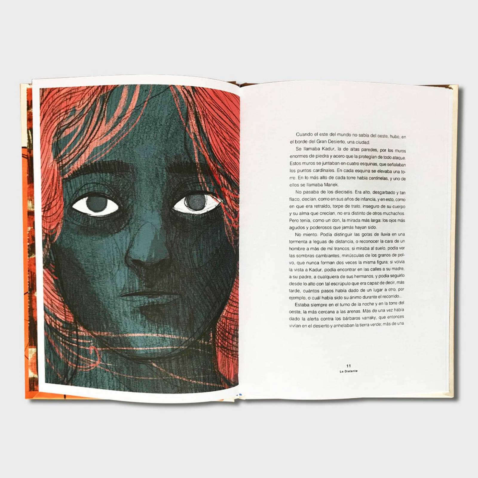 Libro La Distante Libros juveniles cuentos infantiles niños 