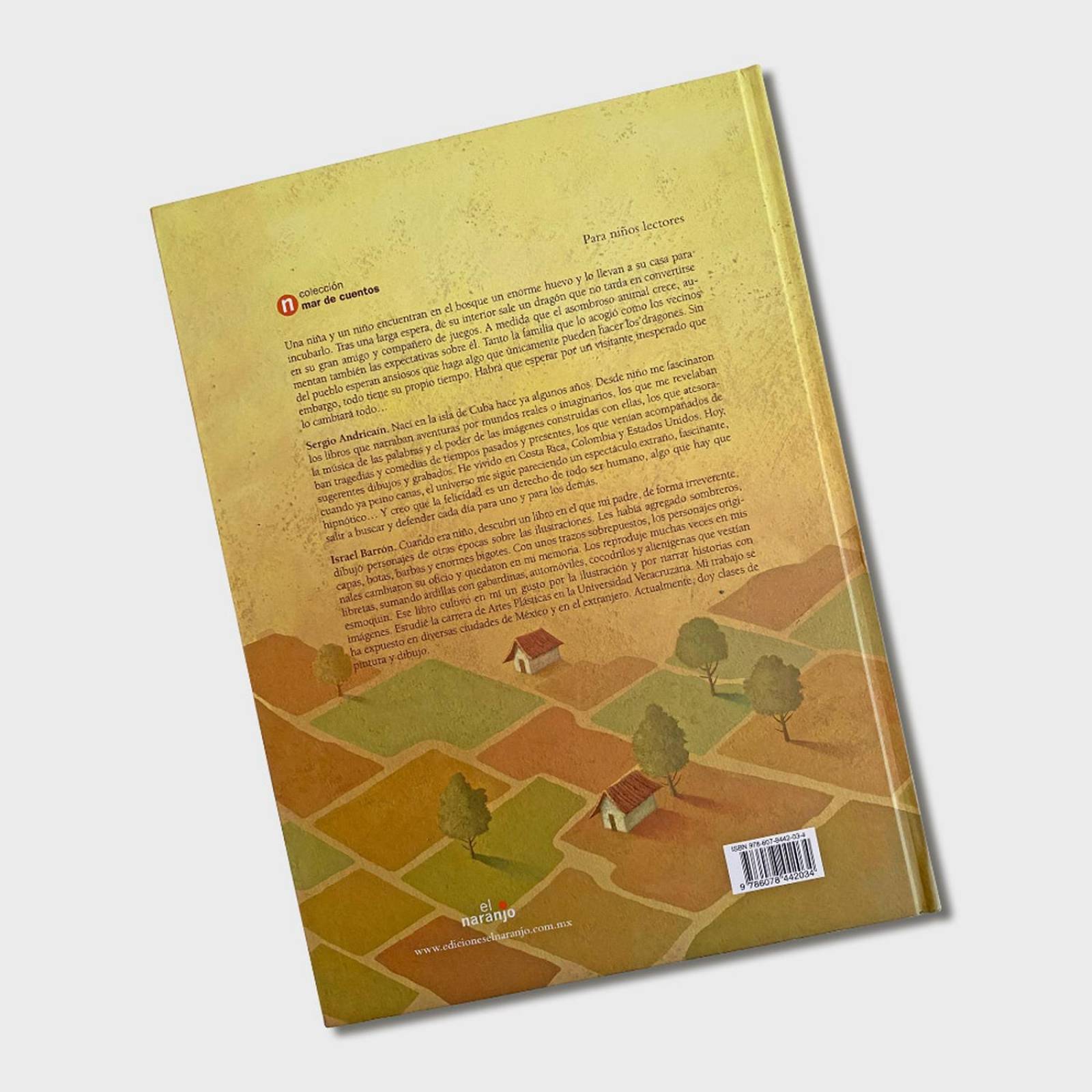 Libro Dragones en el cielo Cuentos infantiles Libros niños 