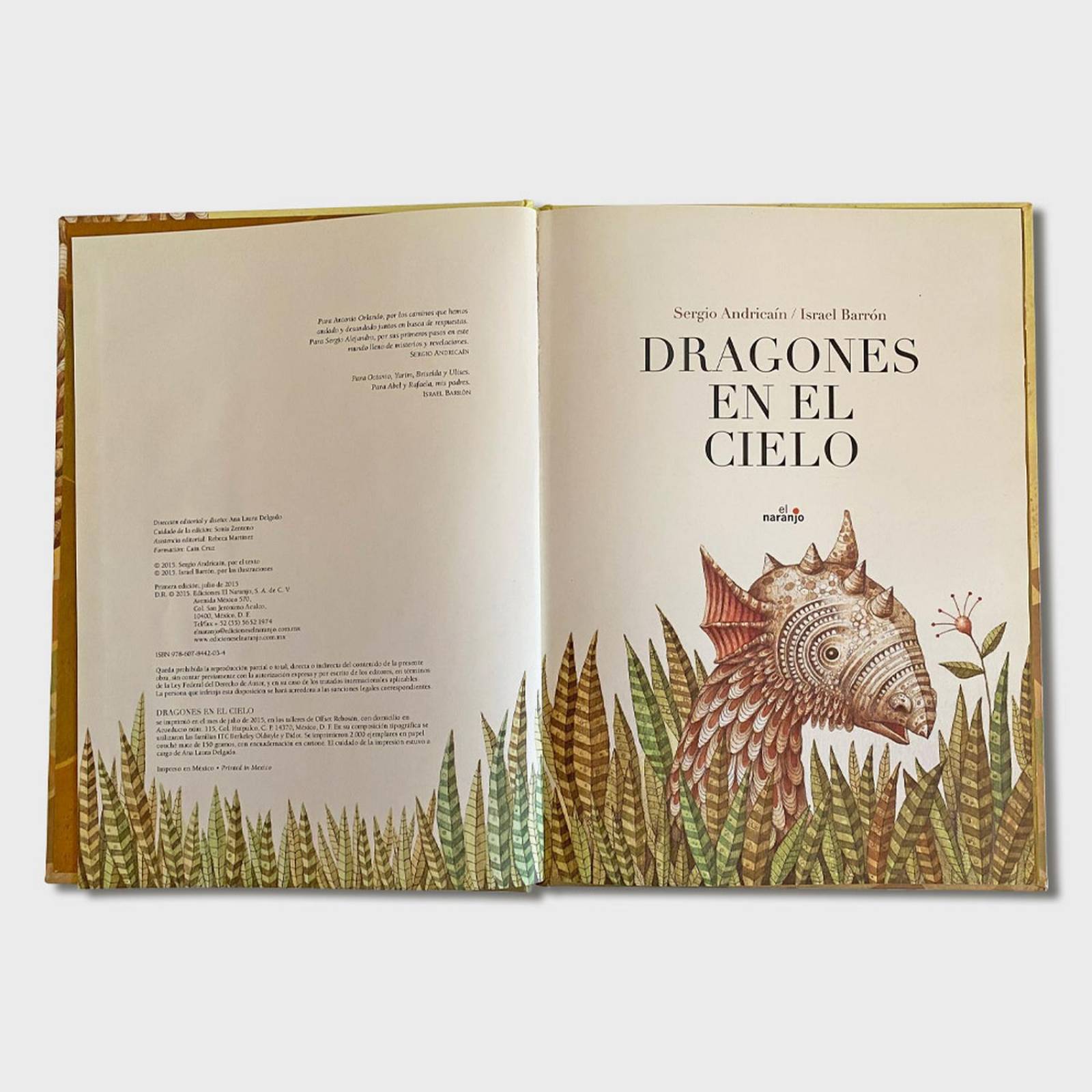Libro Dragones en el cielo Cuentos infantiles Libros niños 