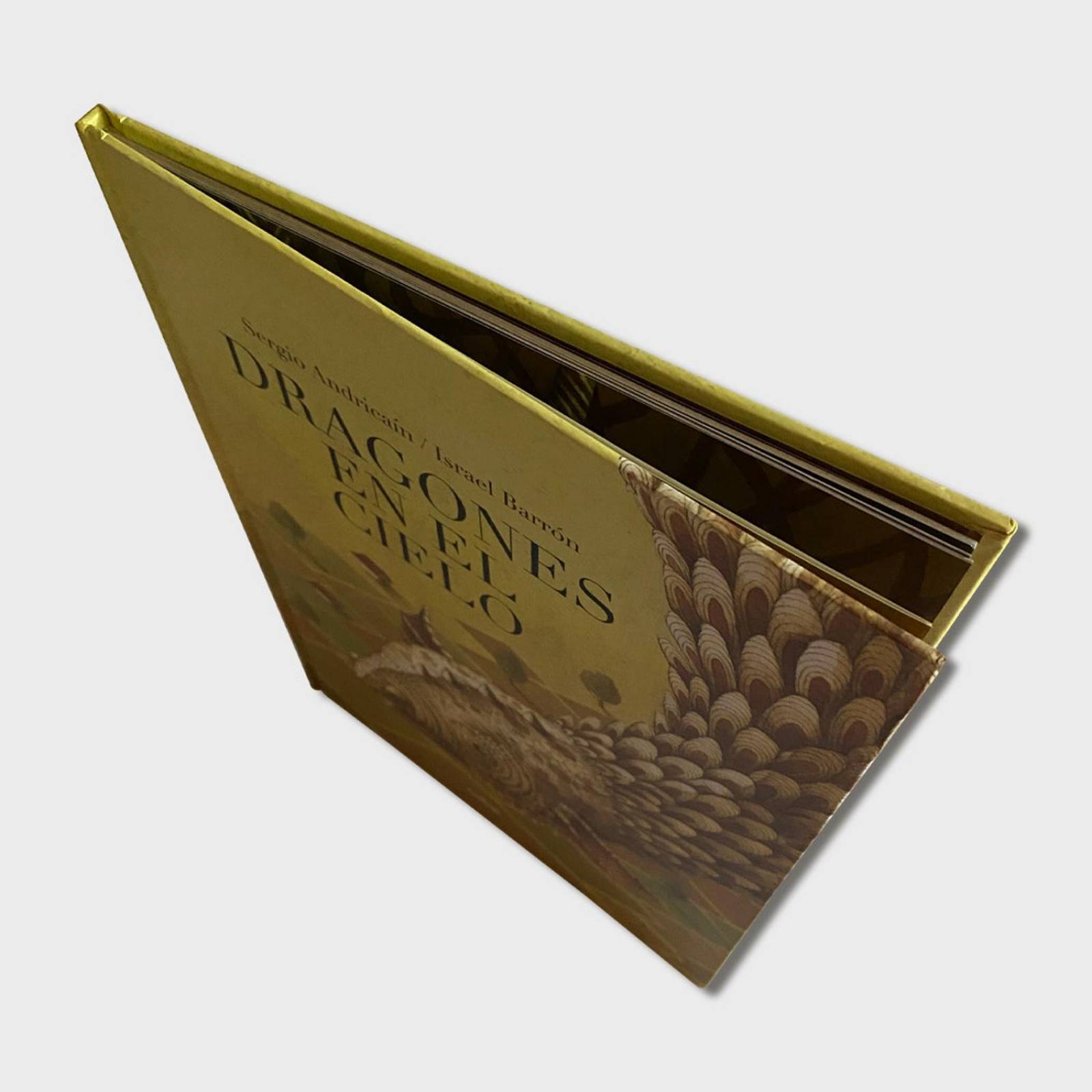 Libro Dragones en el cielo Cuentos infantiles Libros niños 