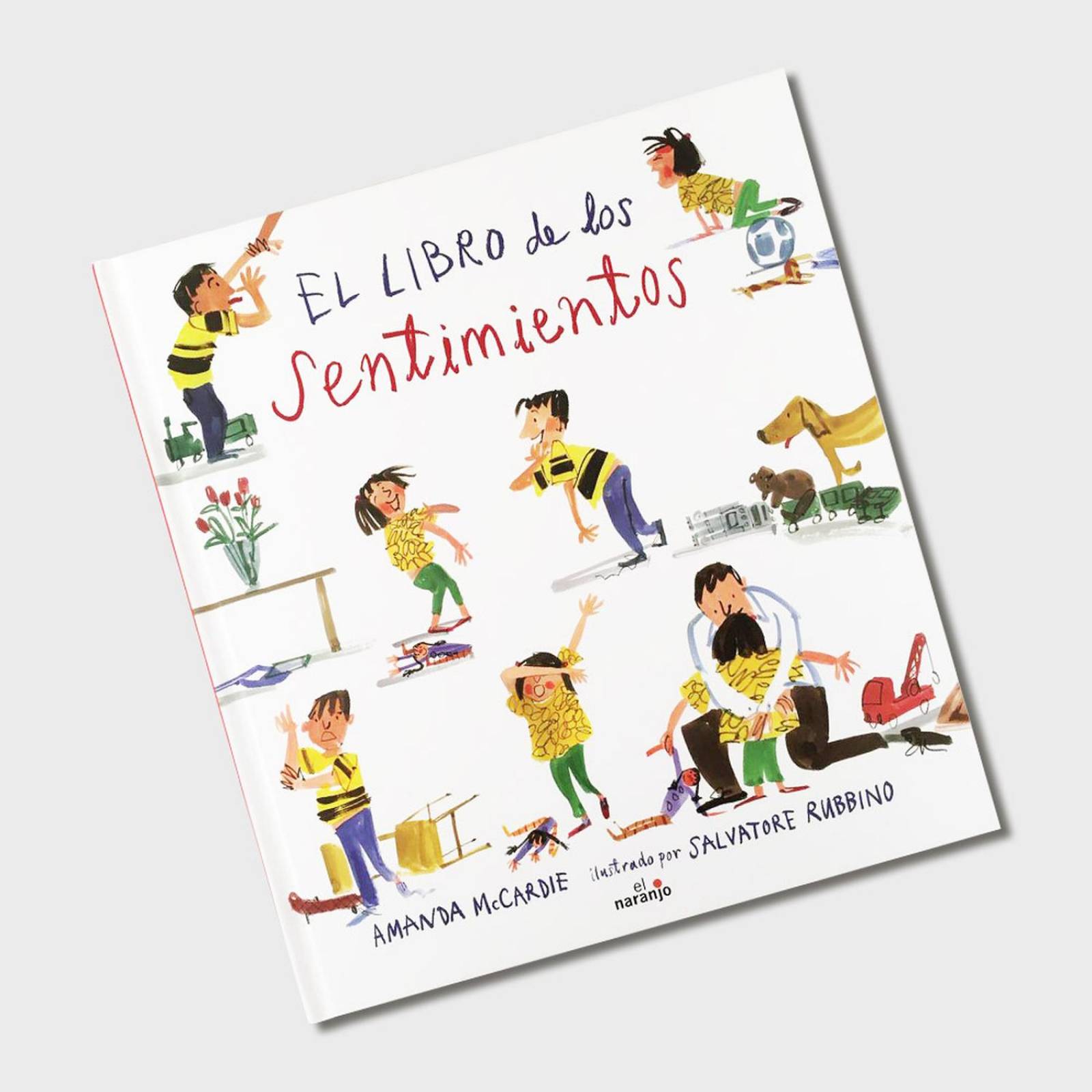 El libro de los sentimientos 