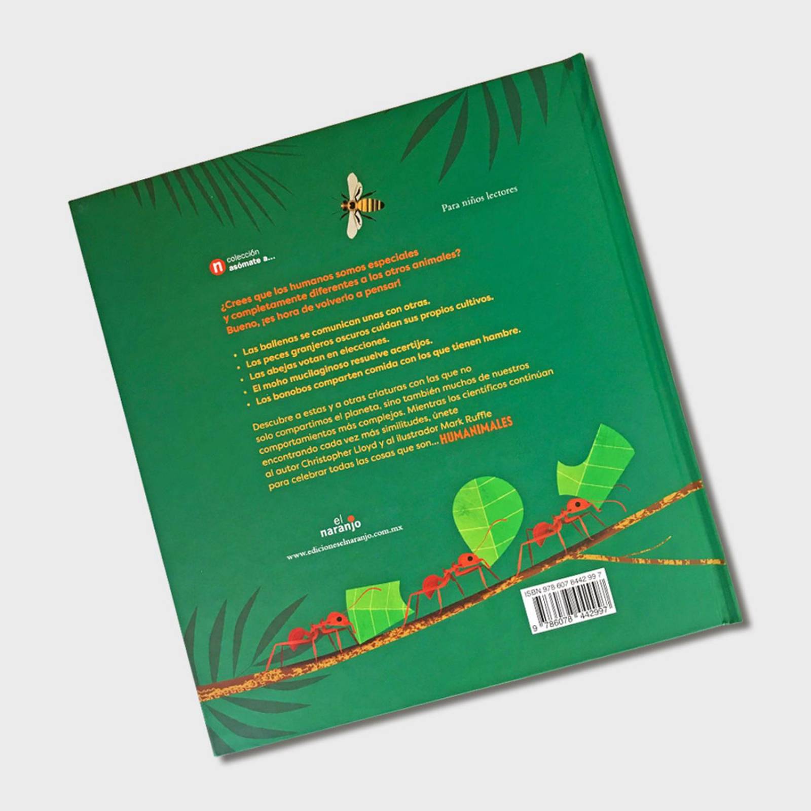 Libro infantil Humanimal Como nos parecemos a los animales 