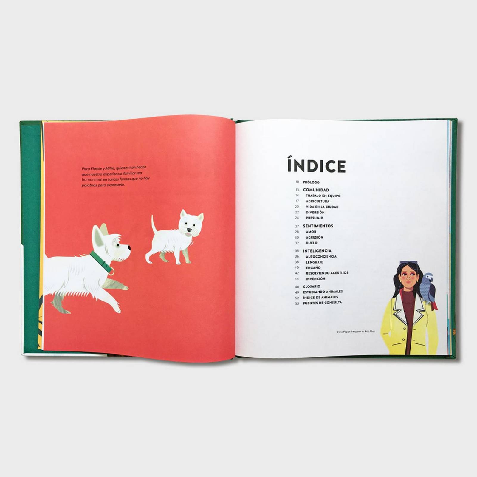 Libro infantil Humanimal Como nos parecemos a los animales 