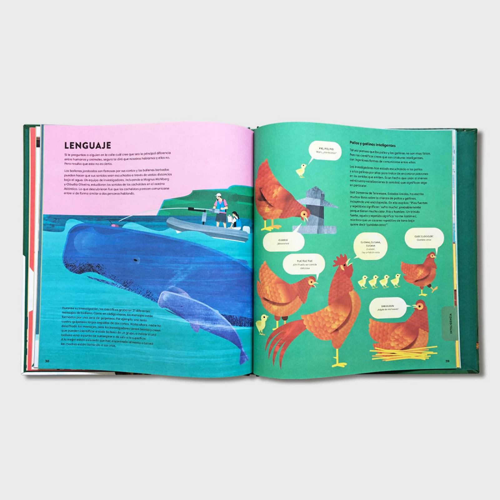 Libro infantil Humanimal Como nos parecemos a los animales 