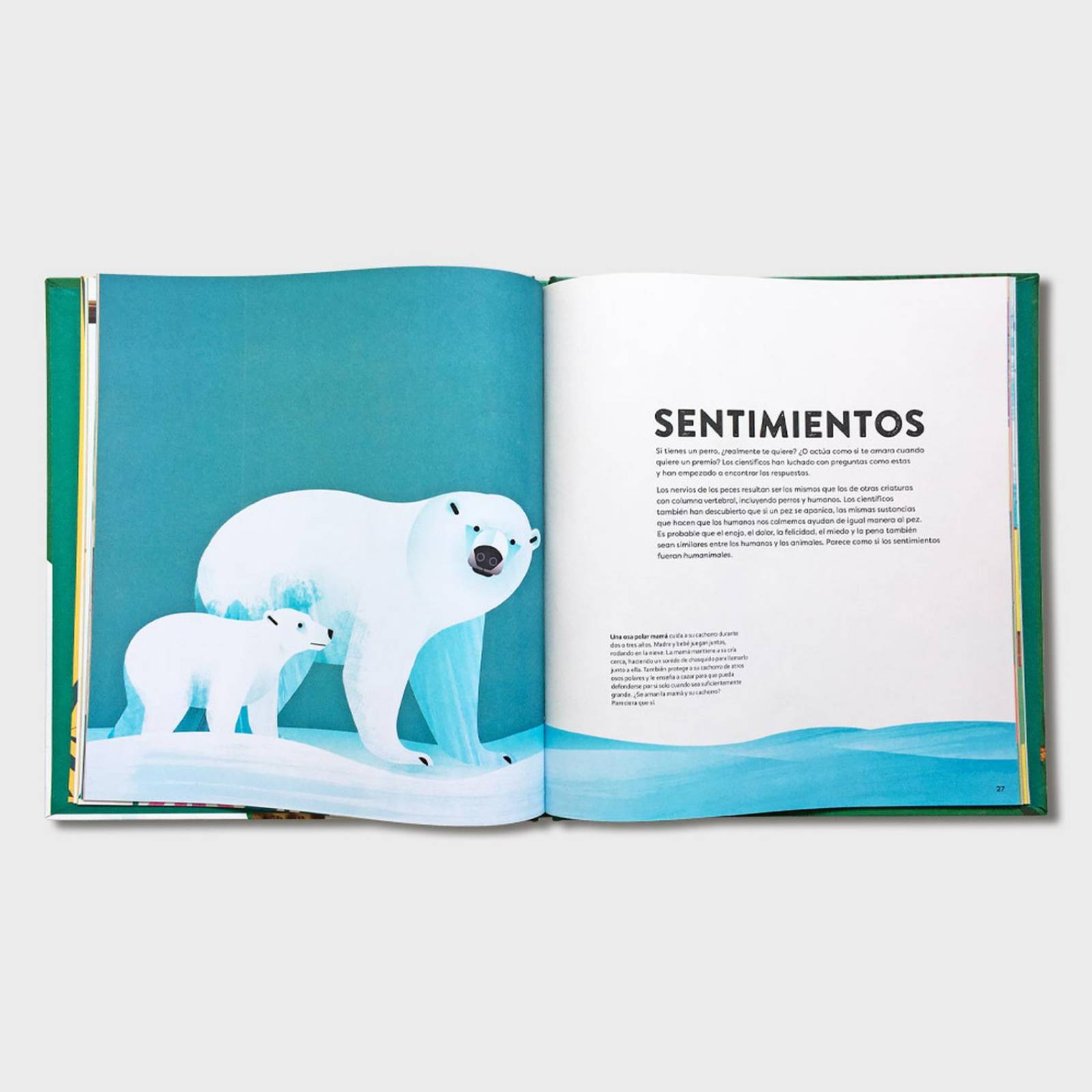 Libro infantil Humanimal Como nos parecemos a los animales 