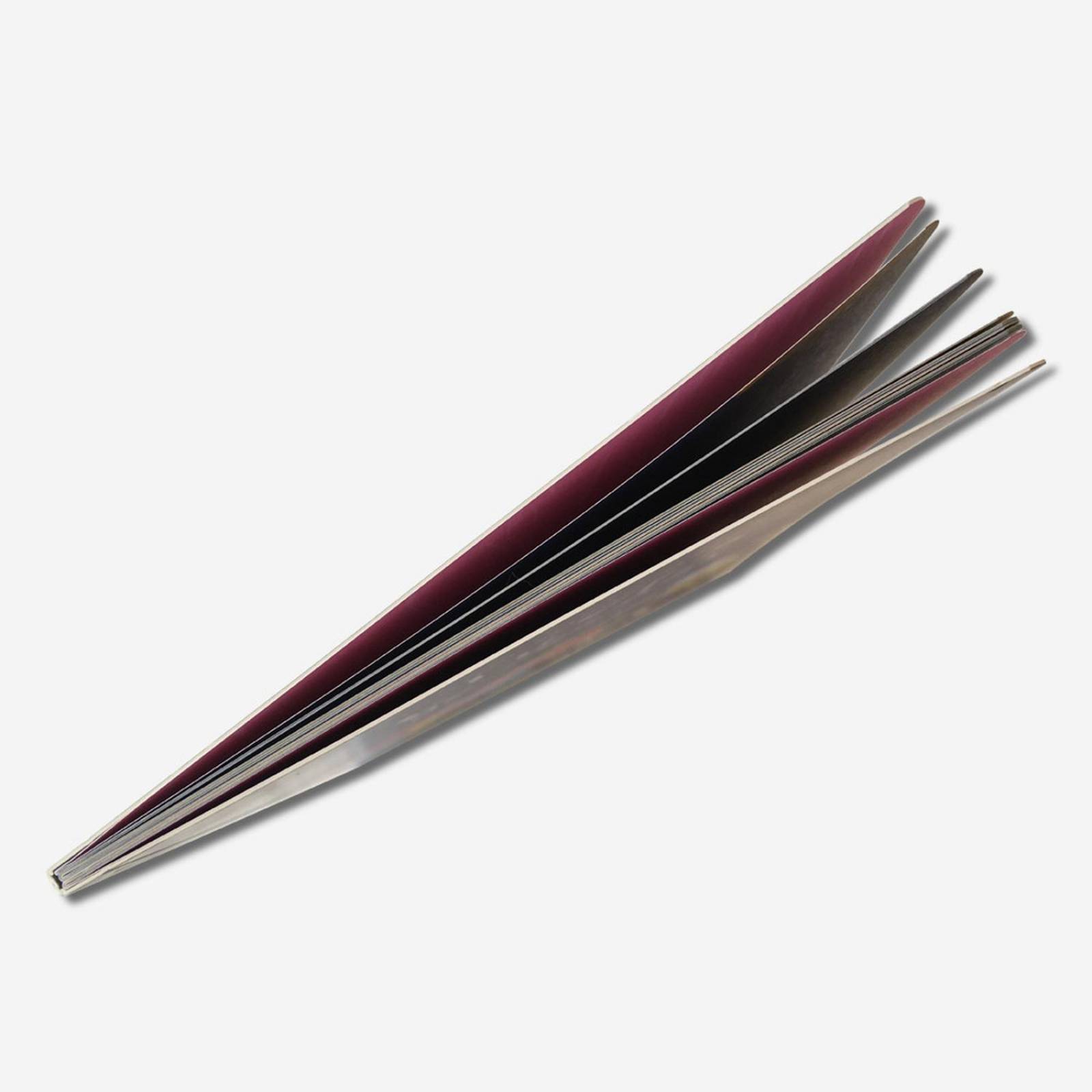 Libro Lluvia de verbos Cuentos infantiles Libros para niños 