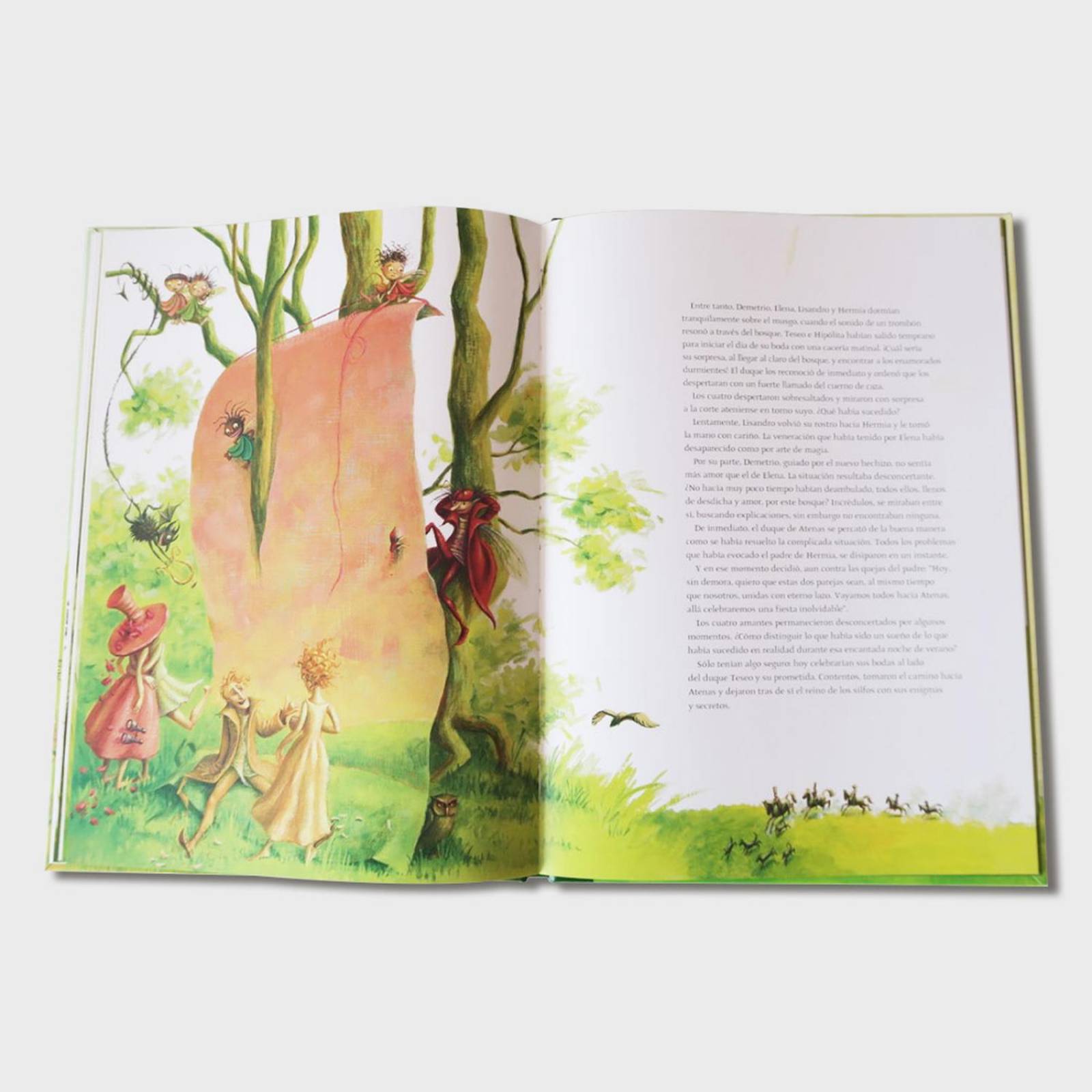 Libro Sueño de una noche de verano Libros para niños Cuentos 