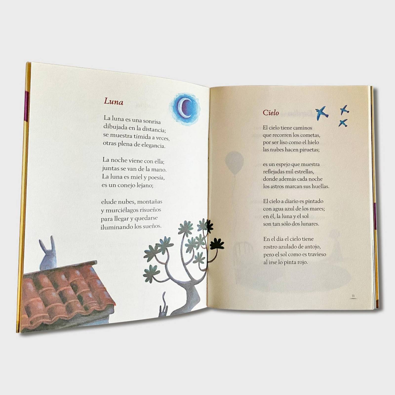 Libro Universo de palabras Libros niños Cuentos infantiles 