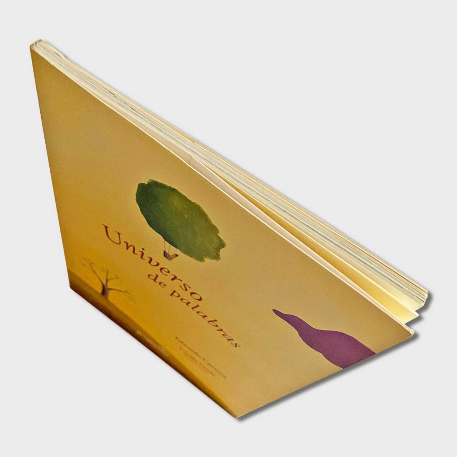 Libro Universo de palabras Libros niños Cuentos infantiles 