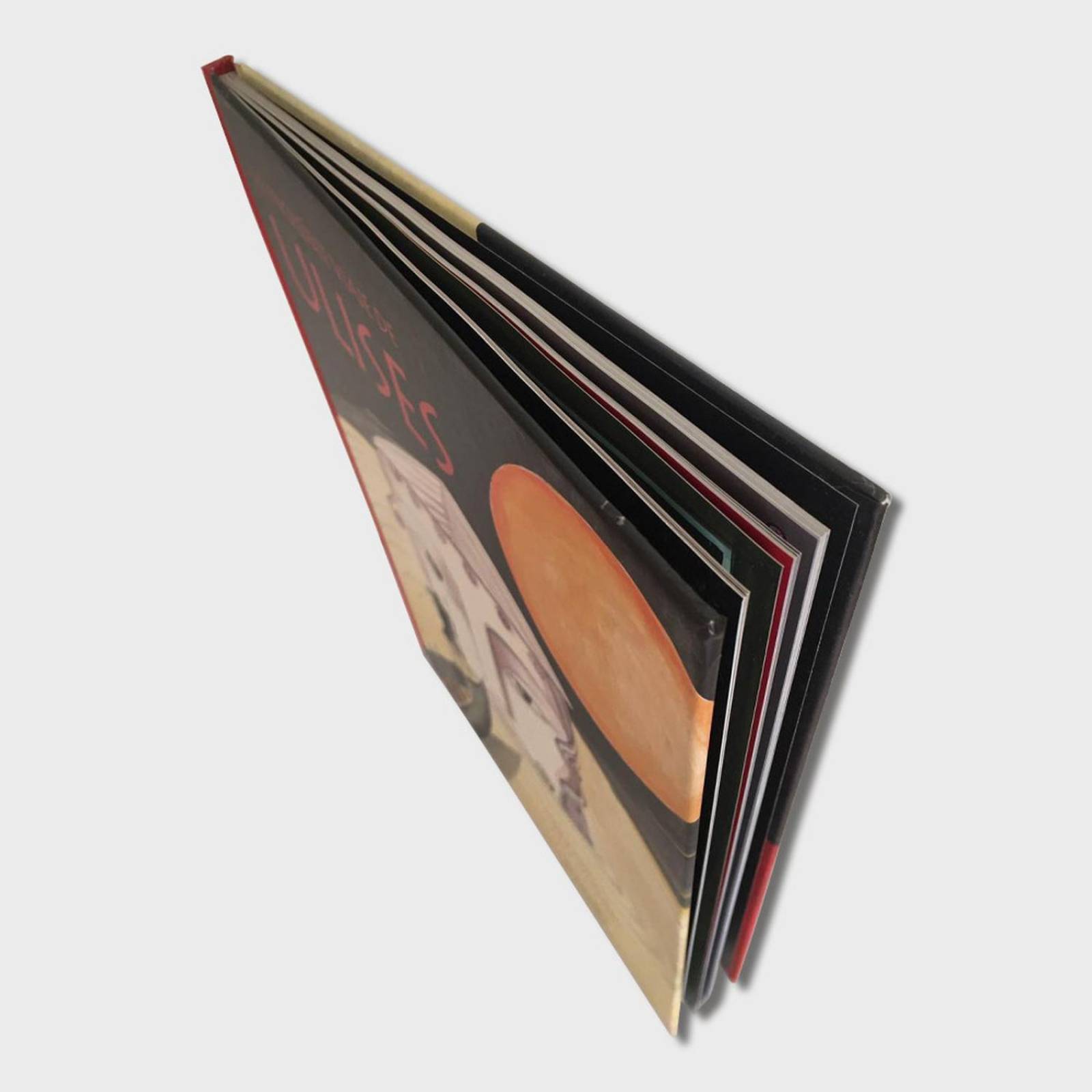 Libro El increíble viaje de Ulises Libros para niños Cuentos 