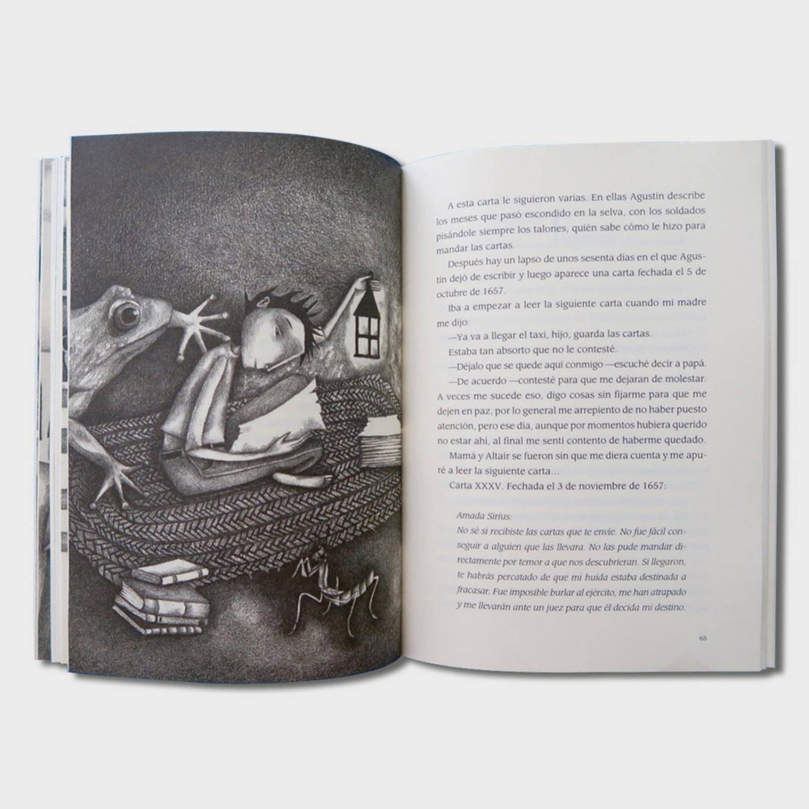 Libro Estrellas de vainilla Libros juveniles cuentos niños 