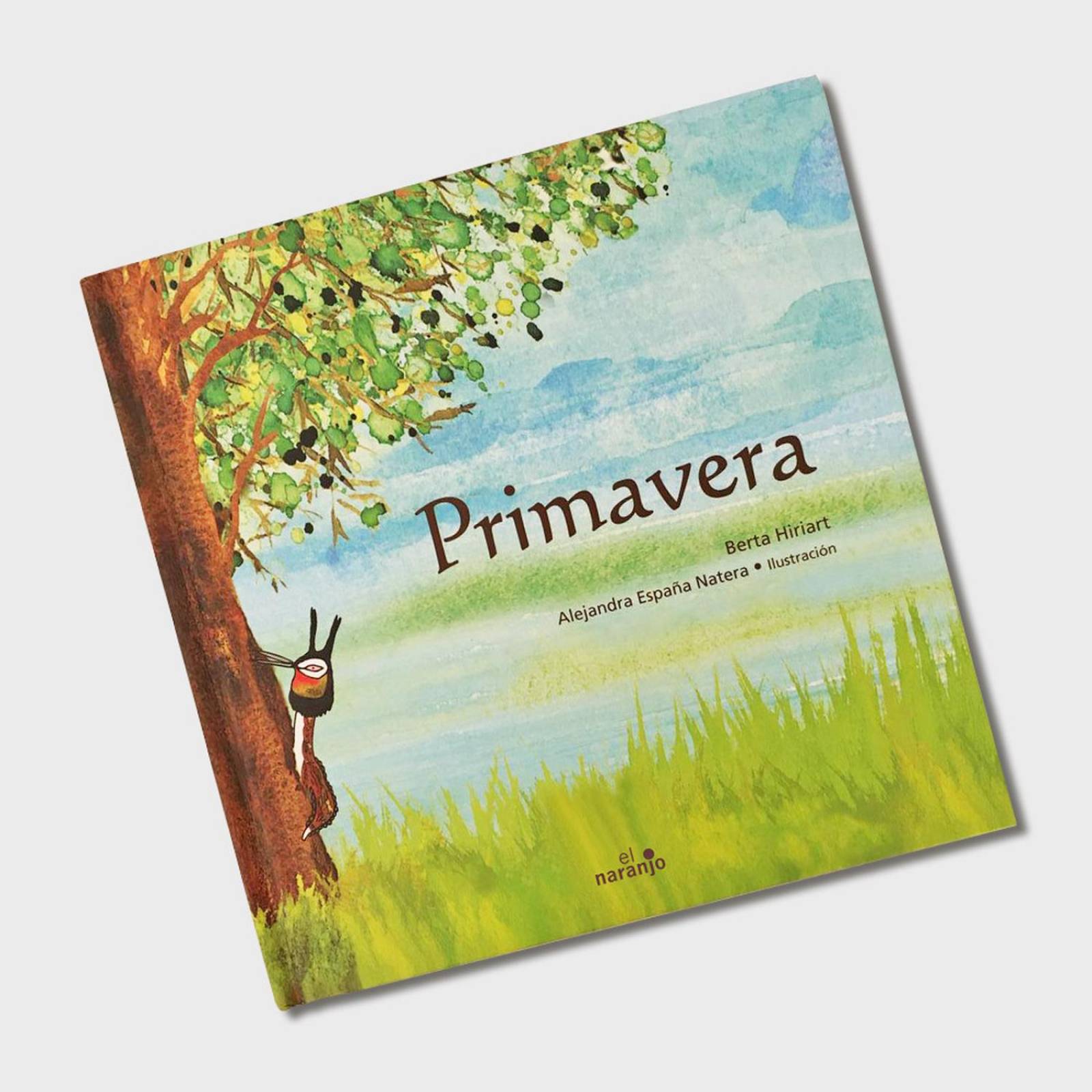 Libro Primavera Libros para niños Cuentos infantiles Cuentos 
