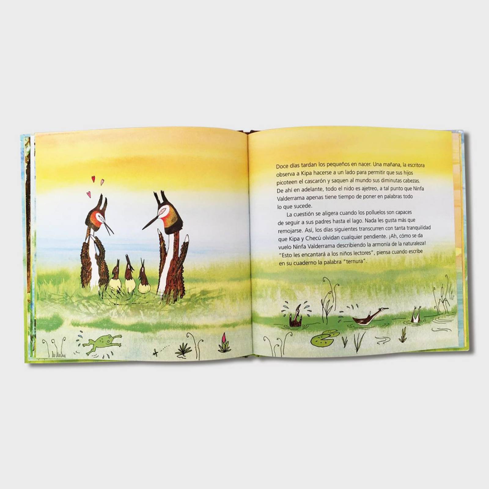Libro Primavera Libros para niños Cuentos infantiles Cuentos 