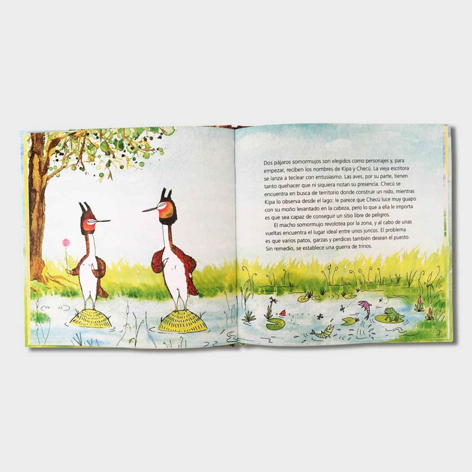 Libro Primavera Libros para niños Cuentos infantiles Cuentos 