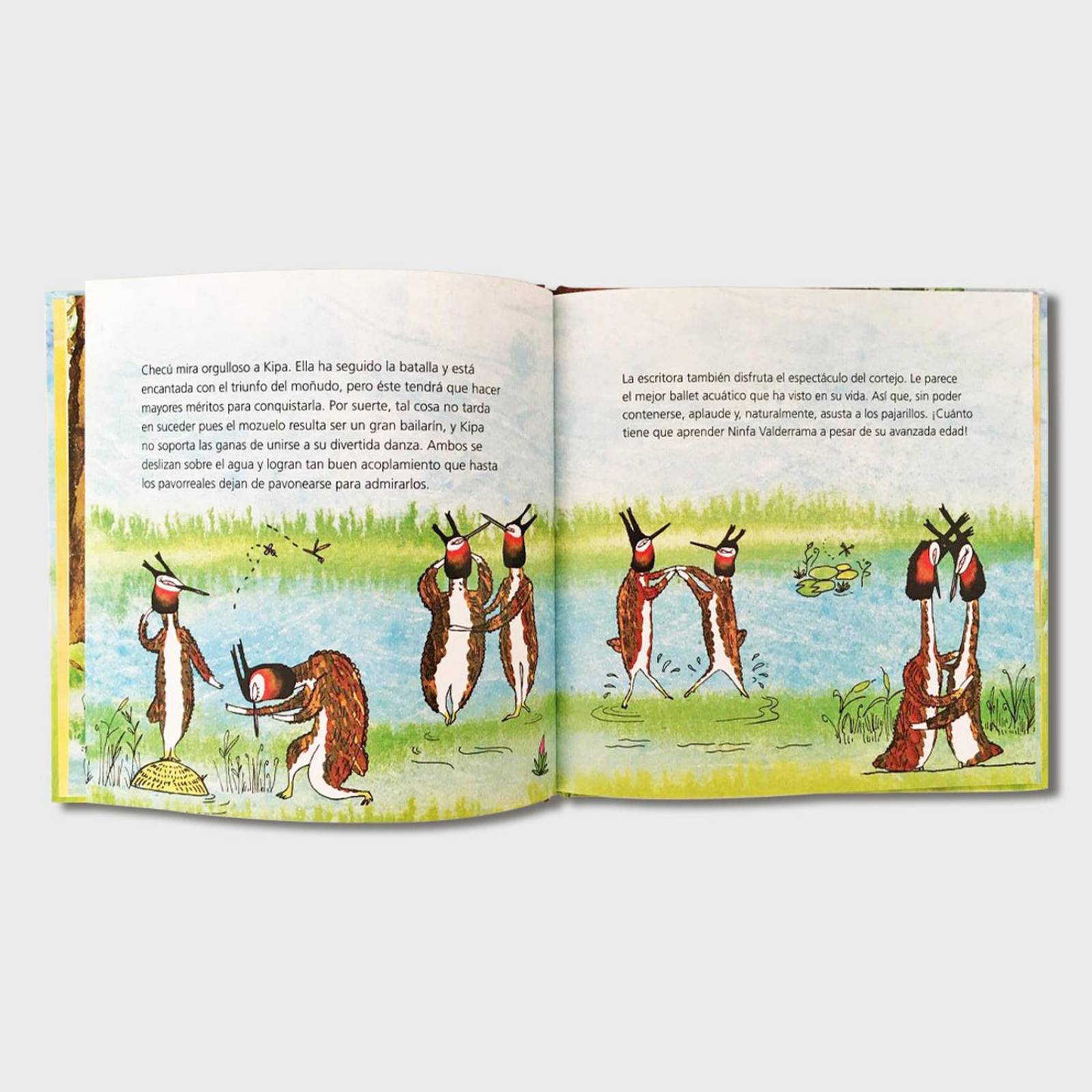 Libro Primavera Libros para niños Cuentos infantiles Cuentos 