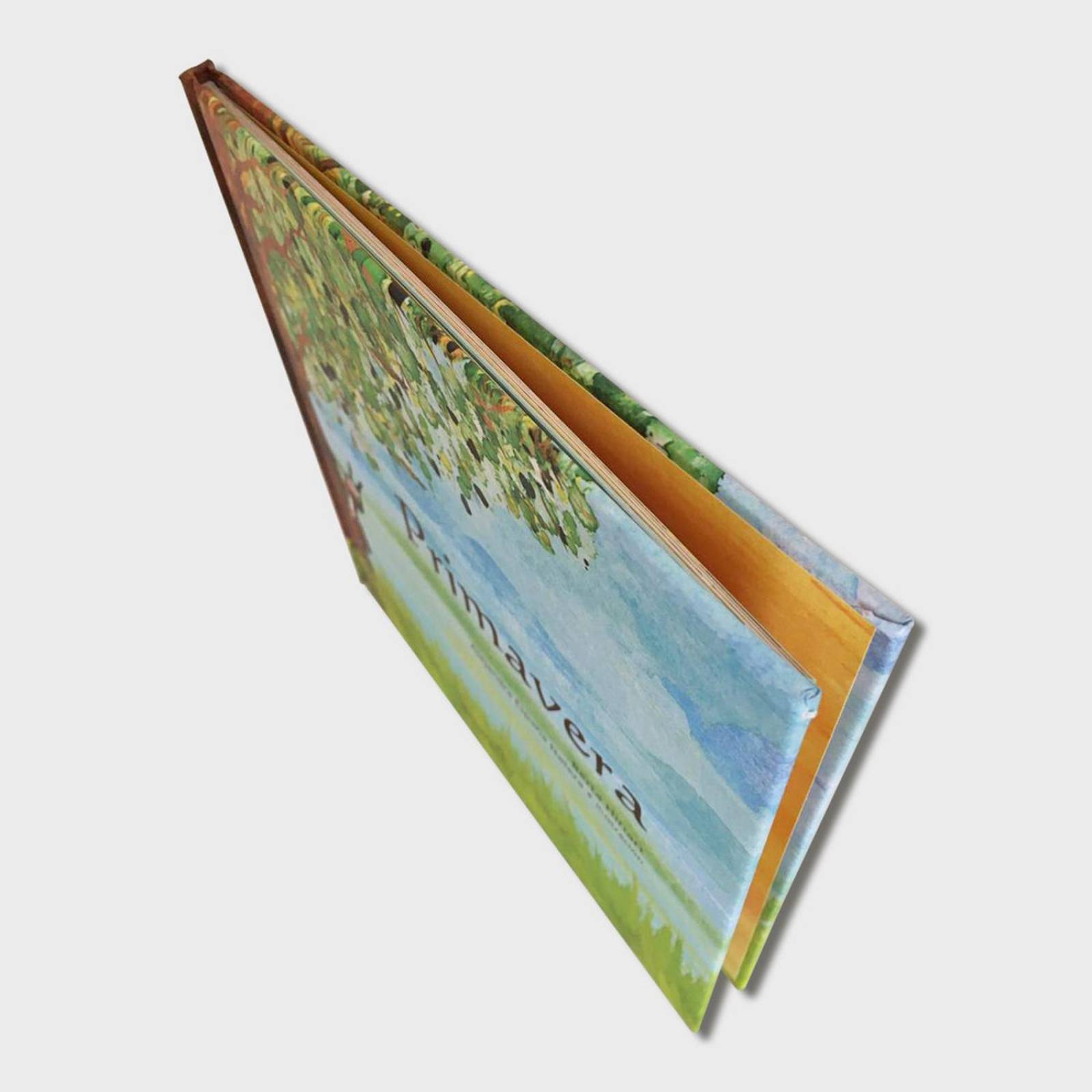 Libro Primavera Libros para niños Cuentos infantiles Cuentos 