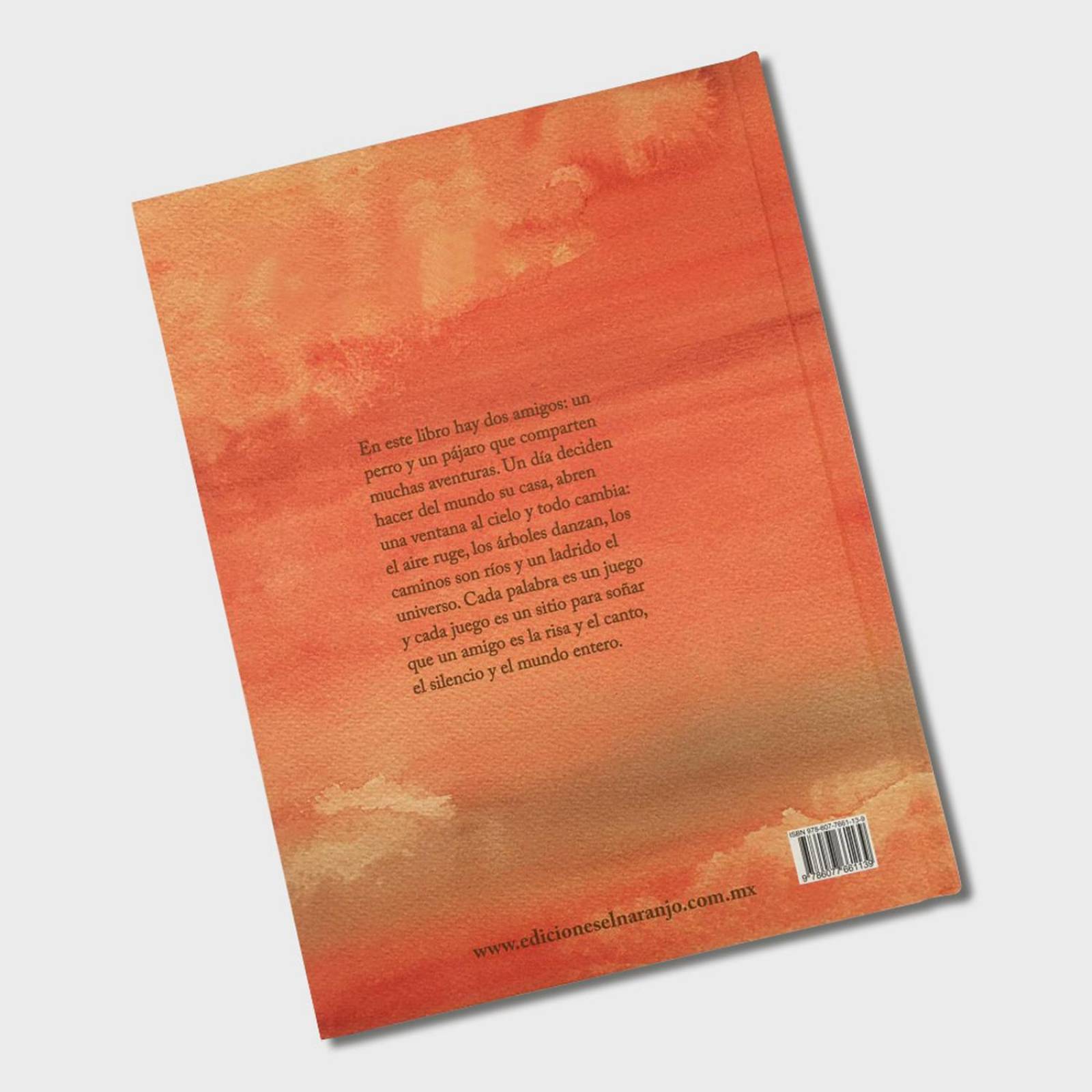 Libro Sol de los amigos Libros para niños Cuentos infantiles