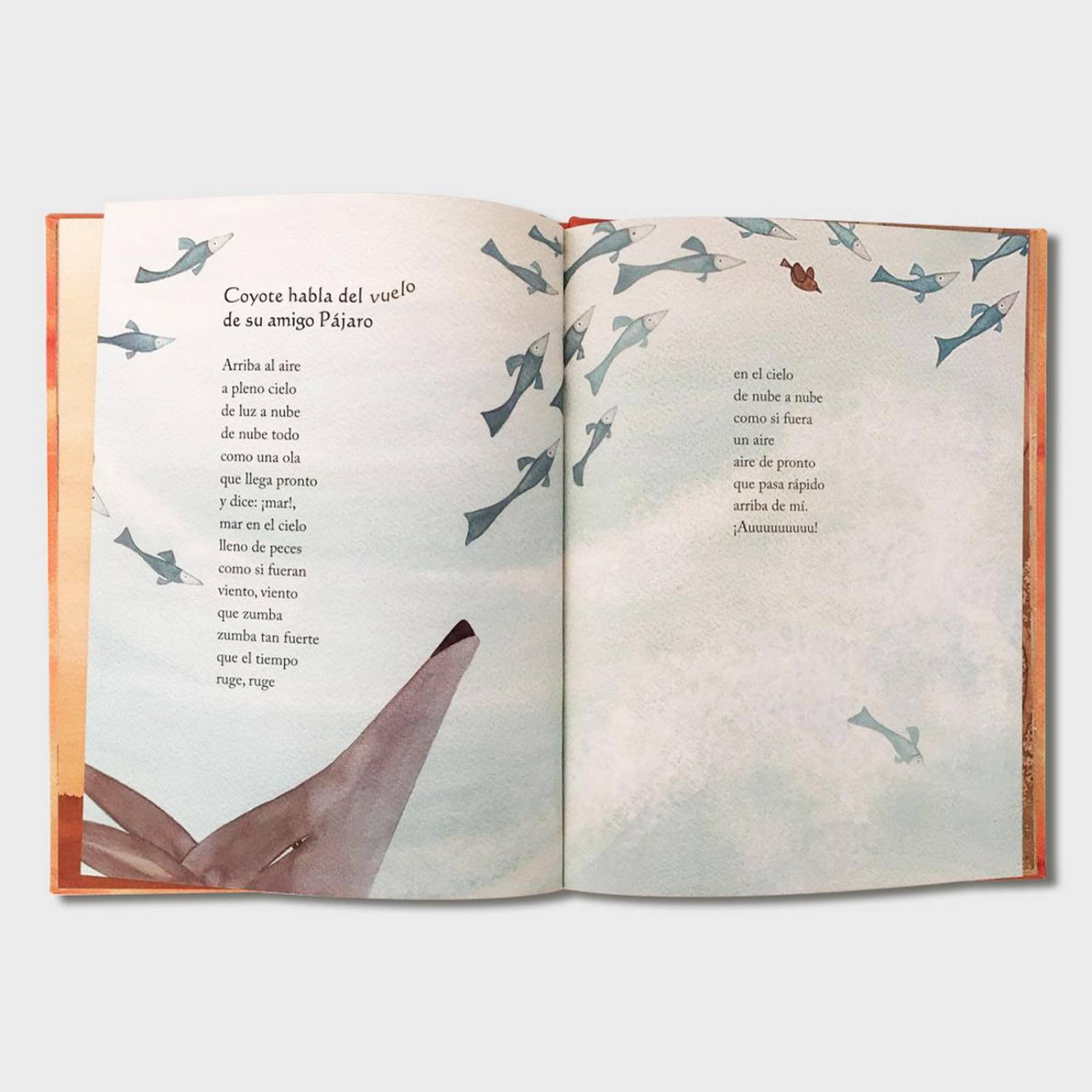 Libro Sol de los amigos Libros para niños Cuentos infantiles