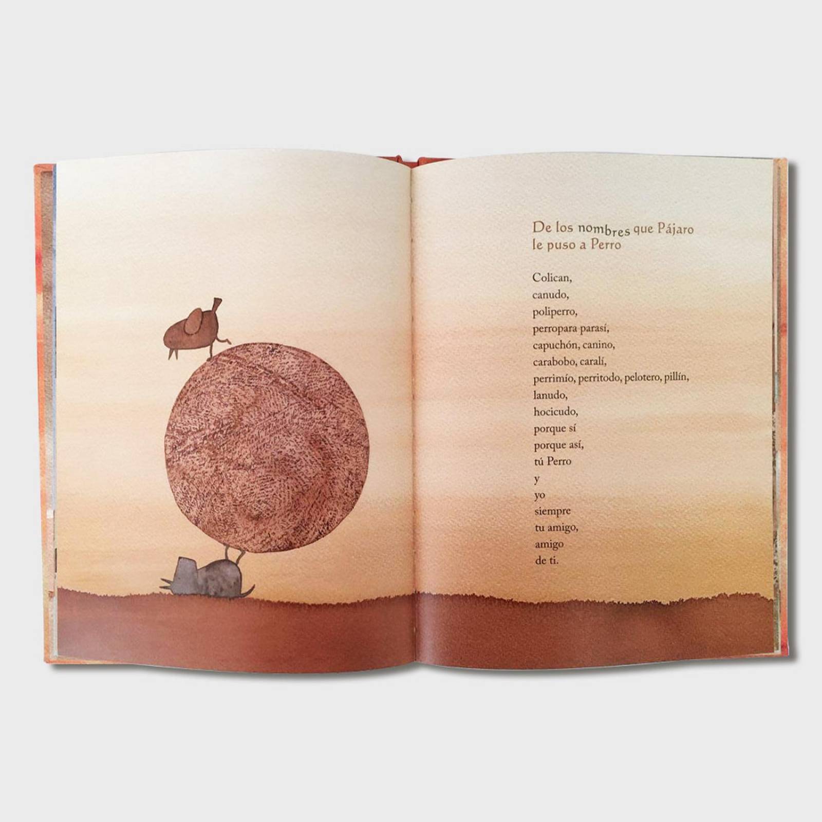 Libro Sol de los amigos Libros para niños Cuentos infantiles