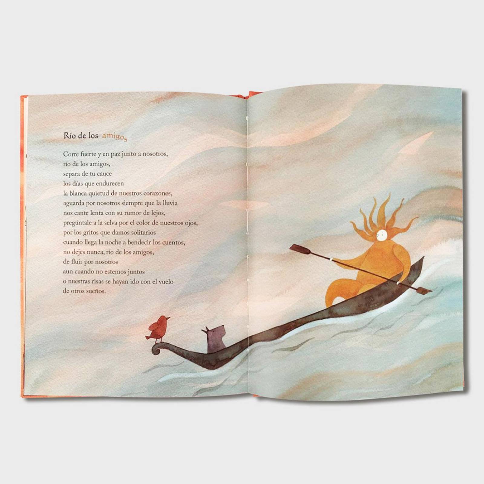 Libro Sol de los amigos Libros para niños Cuentos infantiles