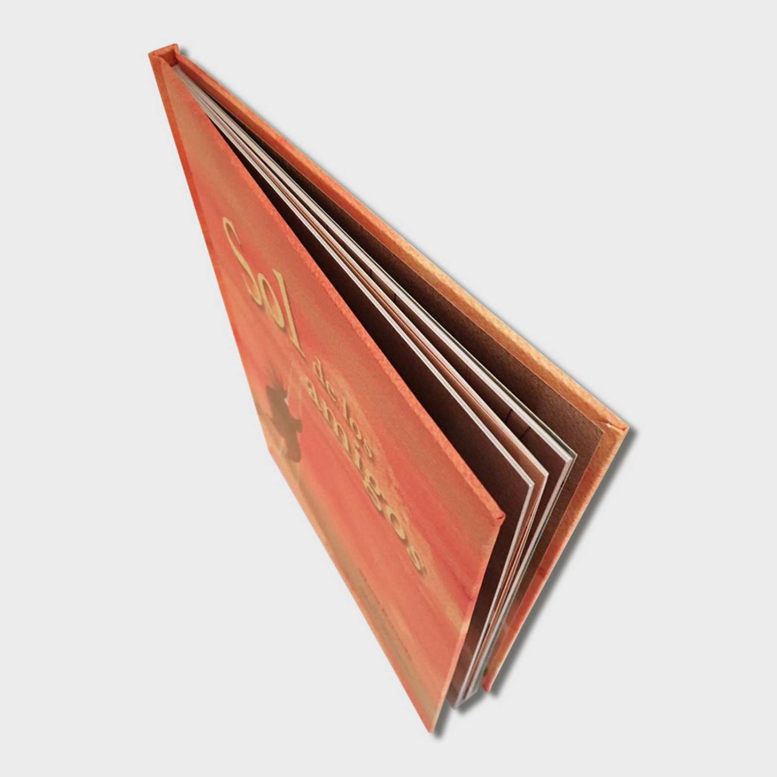 Libro Sol de los amigos Libros para niños Cuentos infantiles