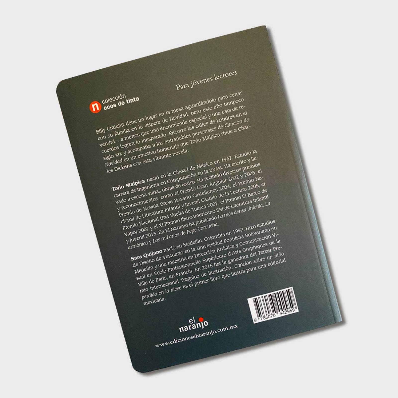 Libro infantiles Canción sobre un niño perdido en la nieve 