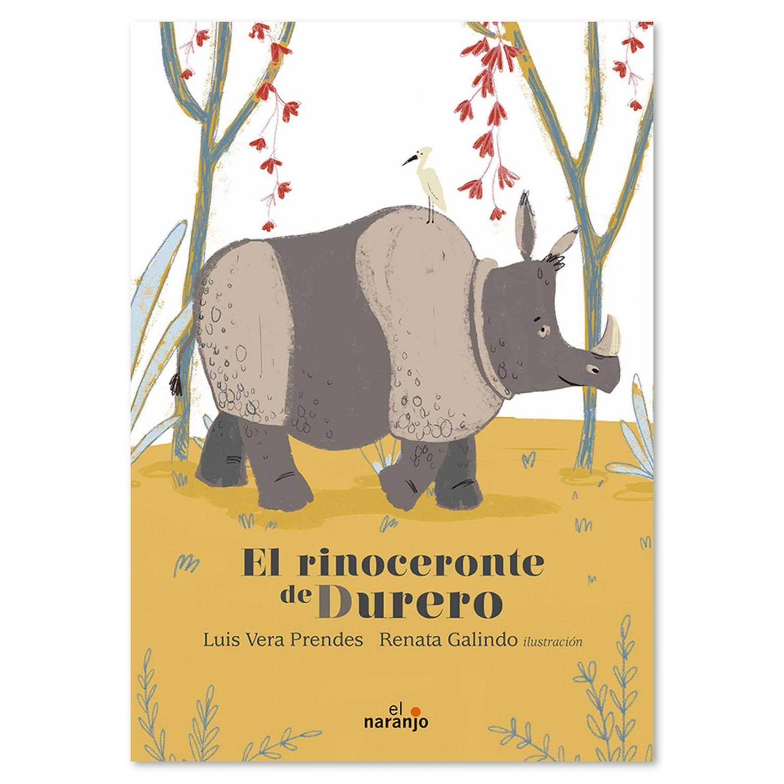 Libro para niños El rinoceronte de Durero Cuentos infantiles 